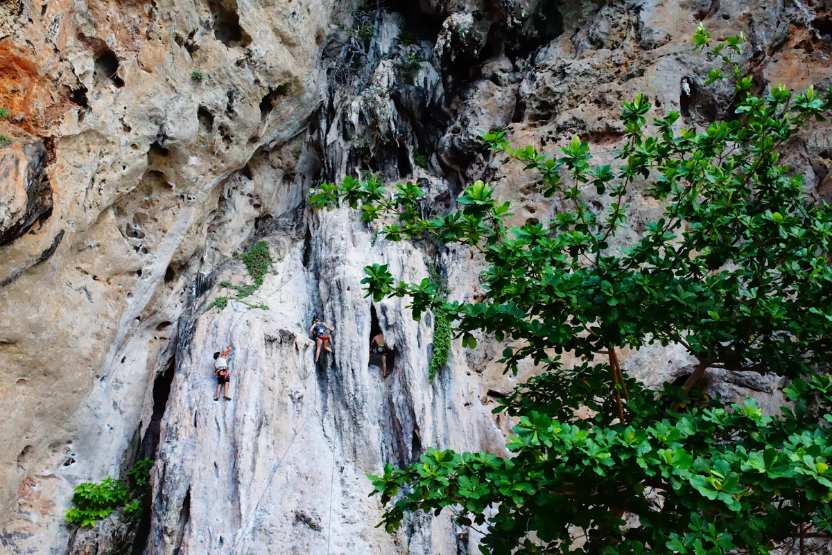 Rock Climbing at Krabi
