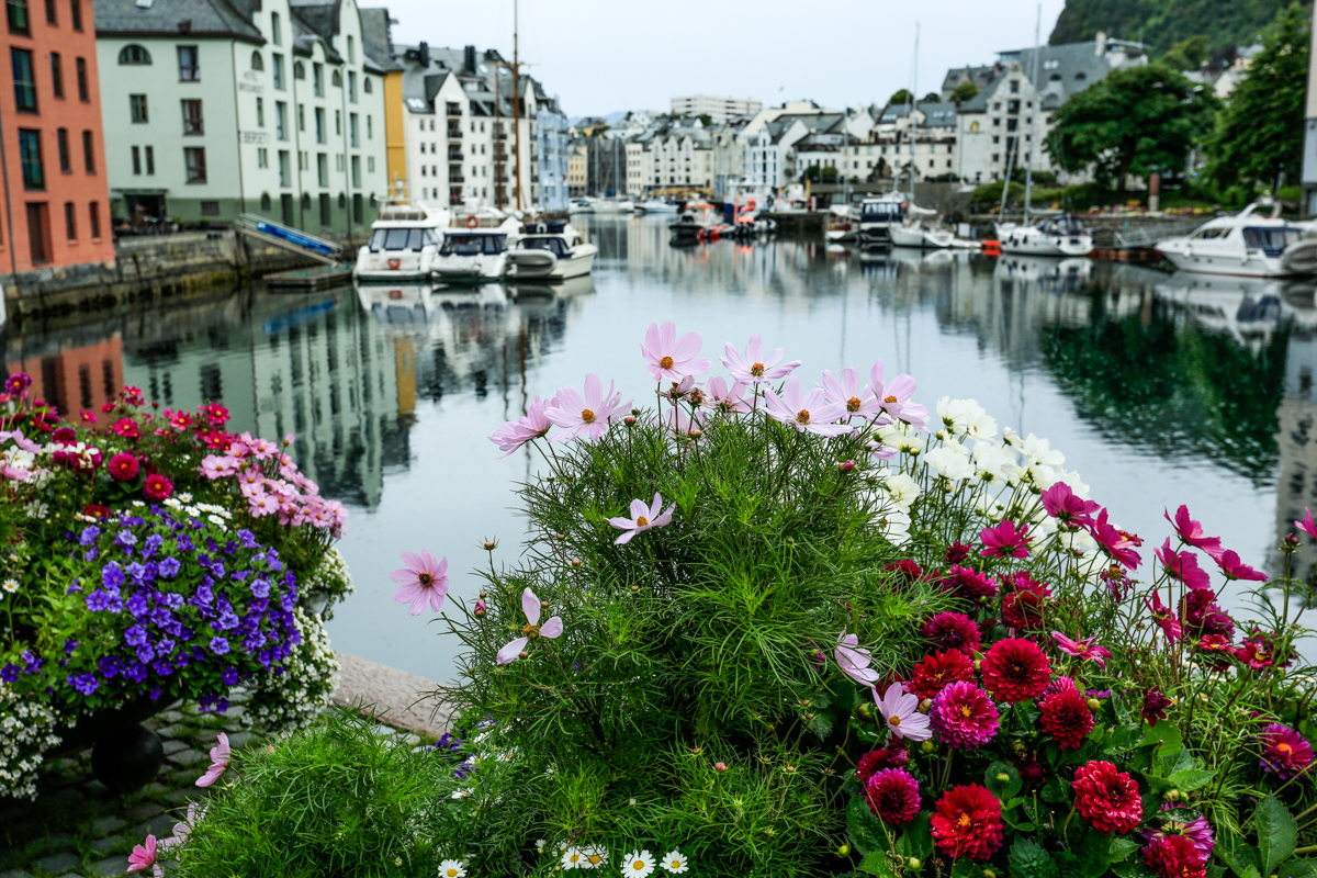 Alesund Scene