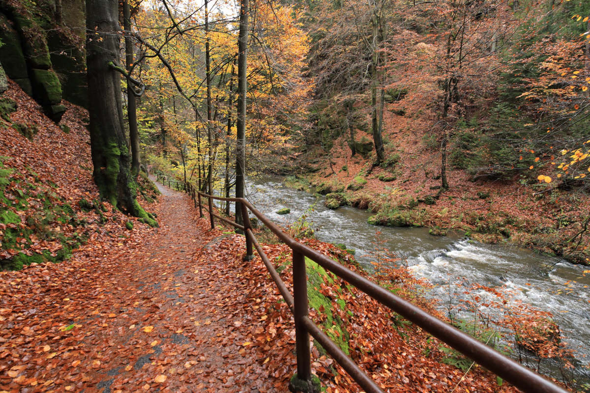 Walking Path at Bohemian Swiss international Park in Autumn