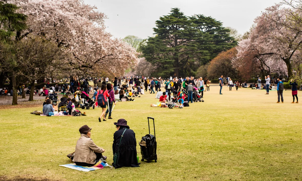 Japan 2015-22.jpg