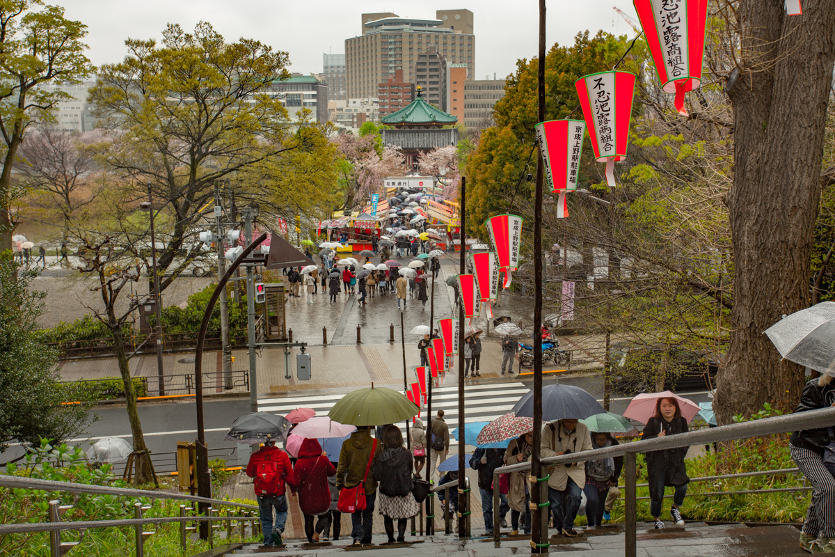 Sakura viewers at Ueno Park