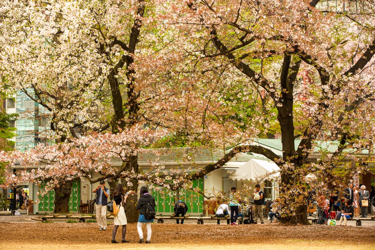 Japan+2015-30.jpg