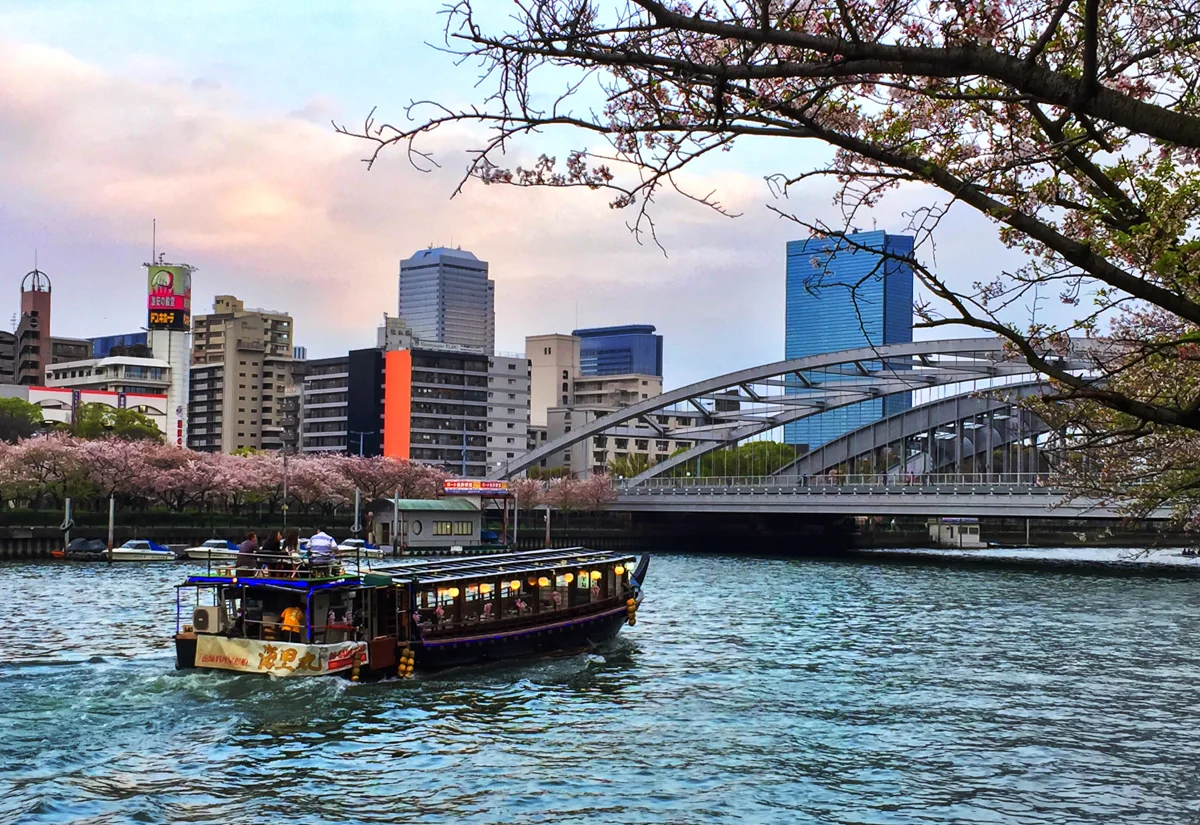 Osaka River cruises are a great way to take in the Cherry Blossom trees lining the riverside