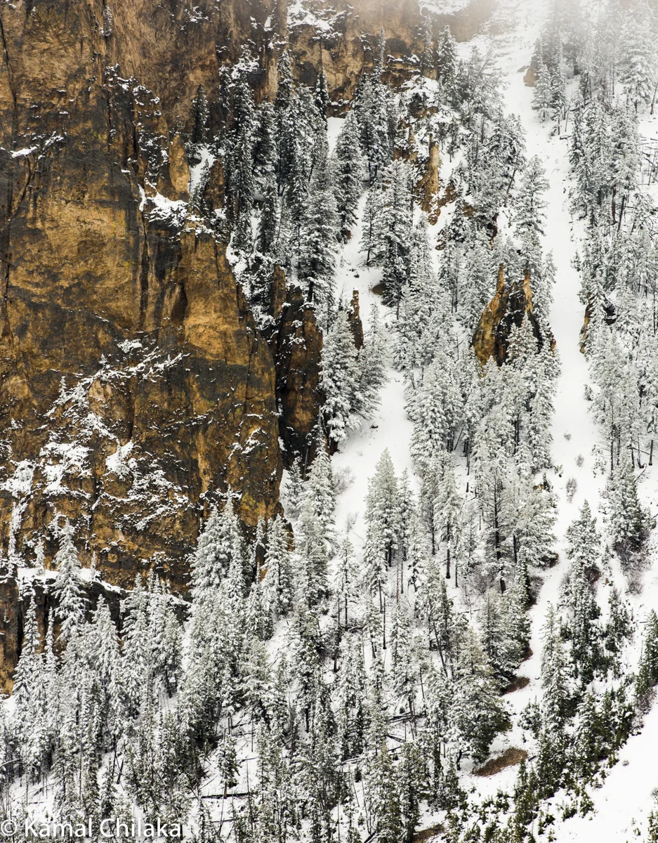 The Yellow coloured Rock that gives the park its name