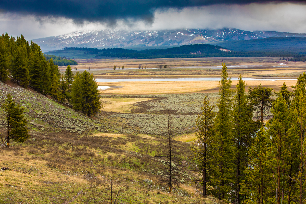 Lamar Valley