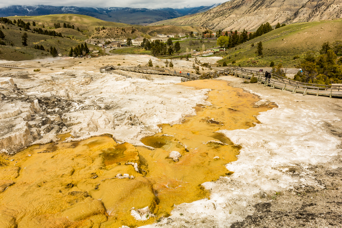Mammoth Hot Springs, Yellowstone