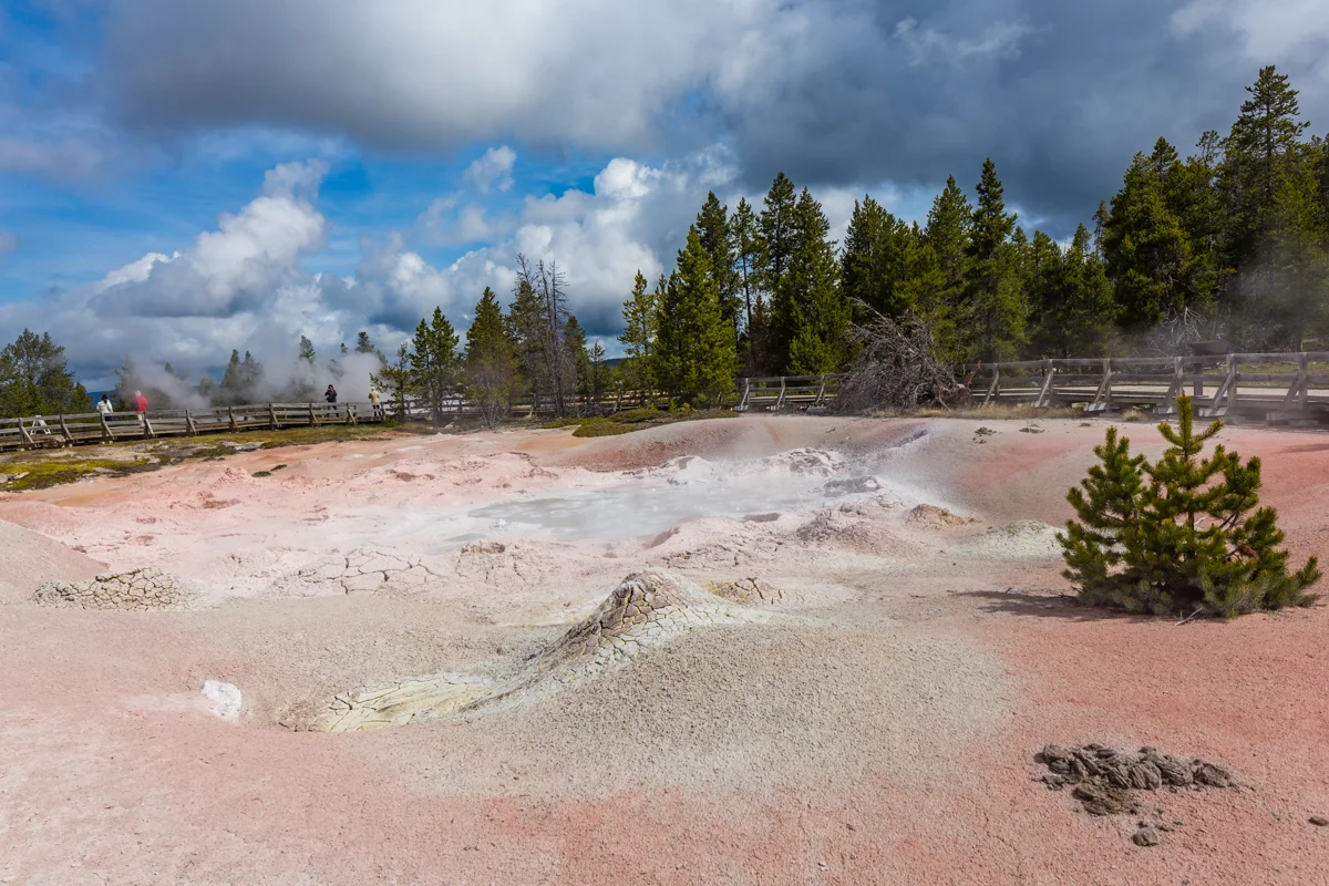 Pink Geyser