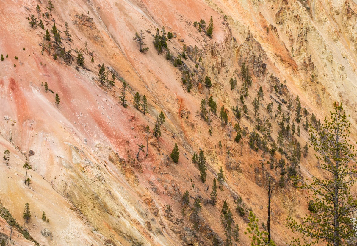 Grand Canyon of Yellowstone