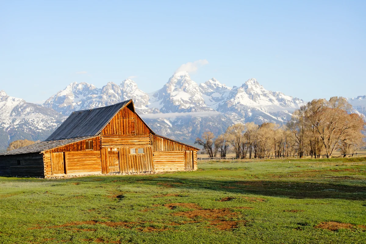 Mormon Row Scene at Sunrise