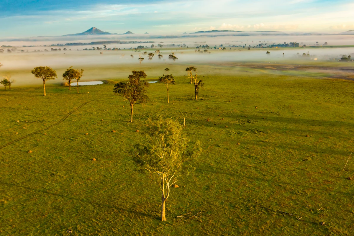 This scene from Australias Gold Coast reminds me of images from the Serengeti
