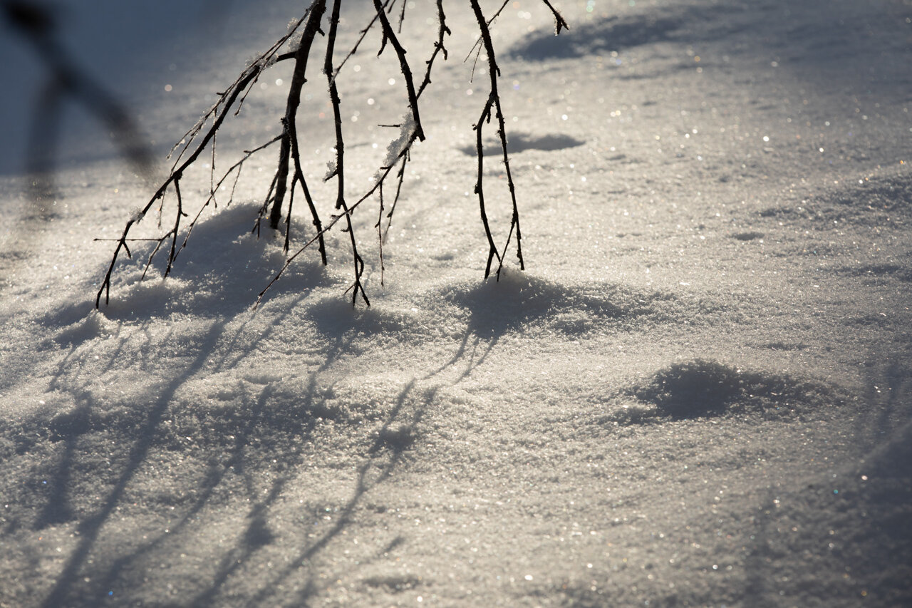 Rovaniemi-0833.jpg