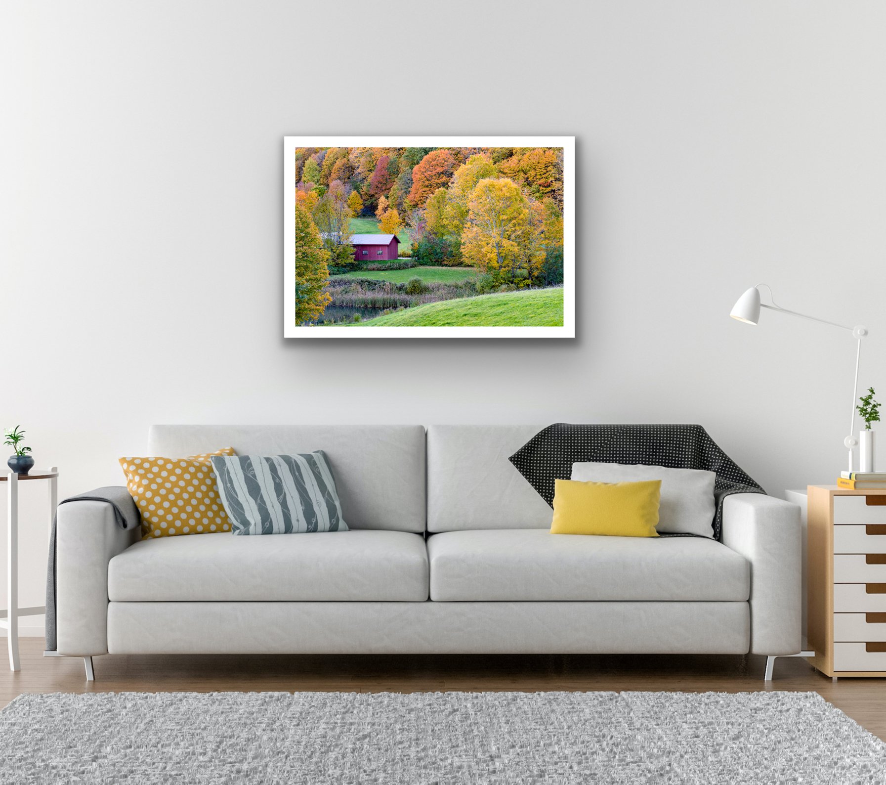 Nestled in Colour- Visualiser1.jpeg