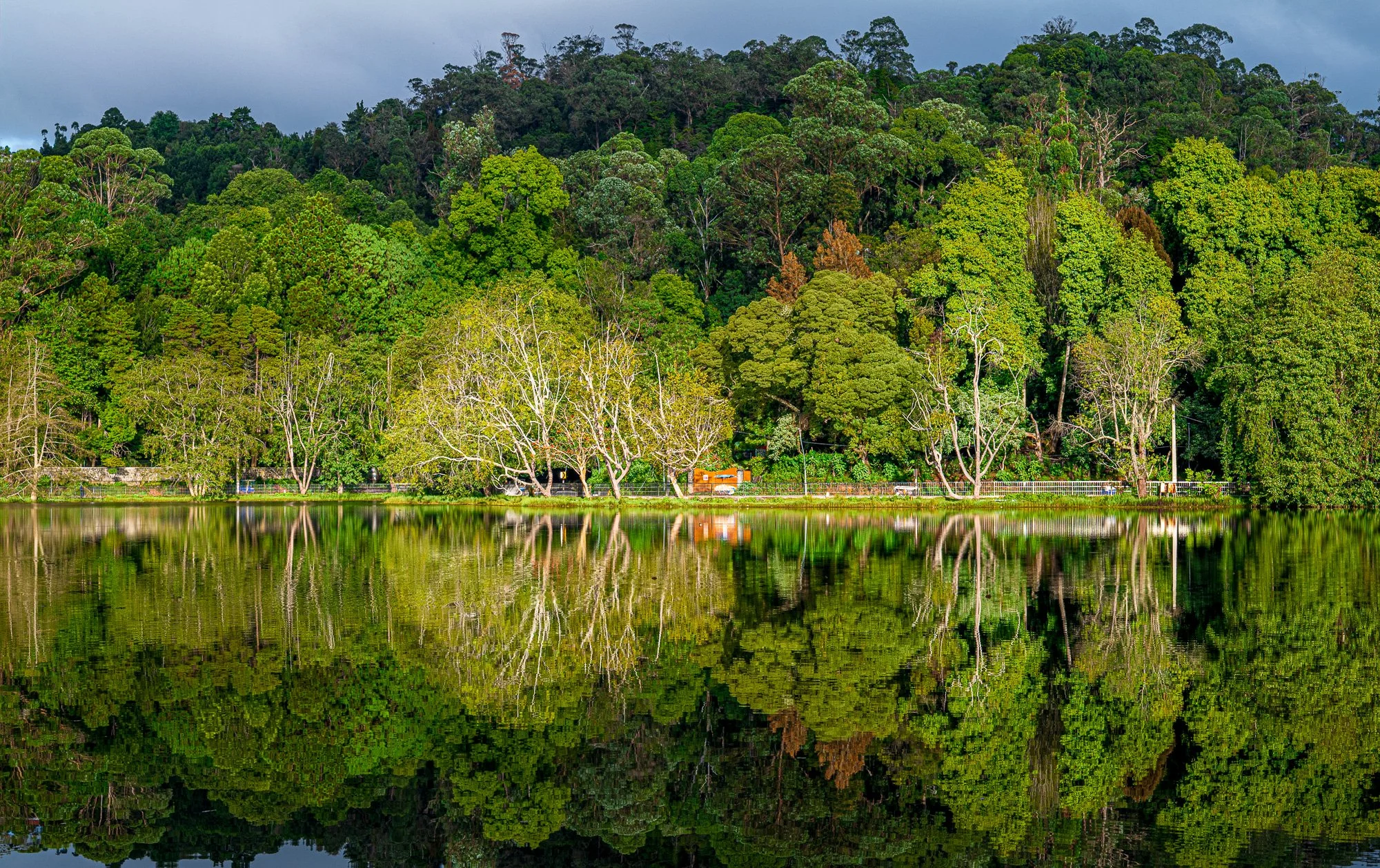 Reflections at Kodai Lake