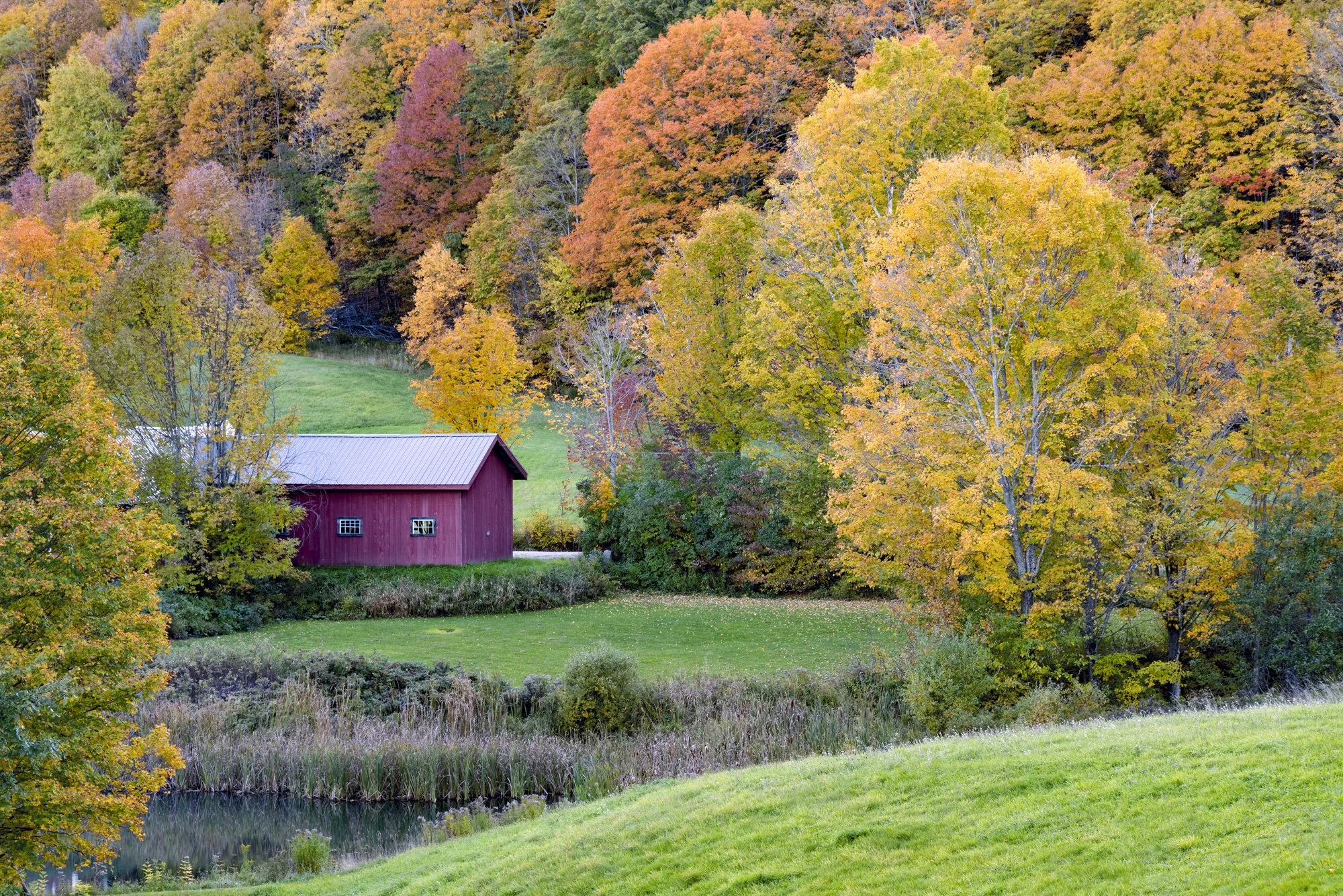 Nestled in Colour — Vermont, New England