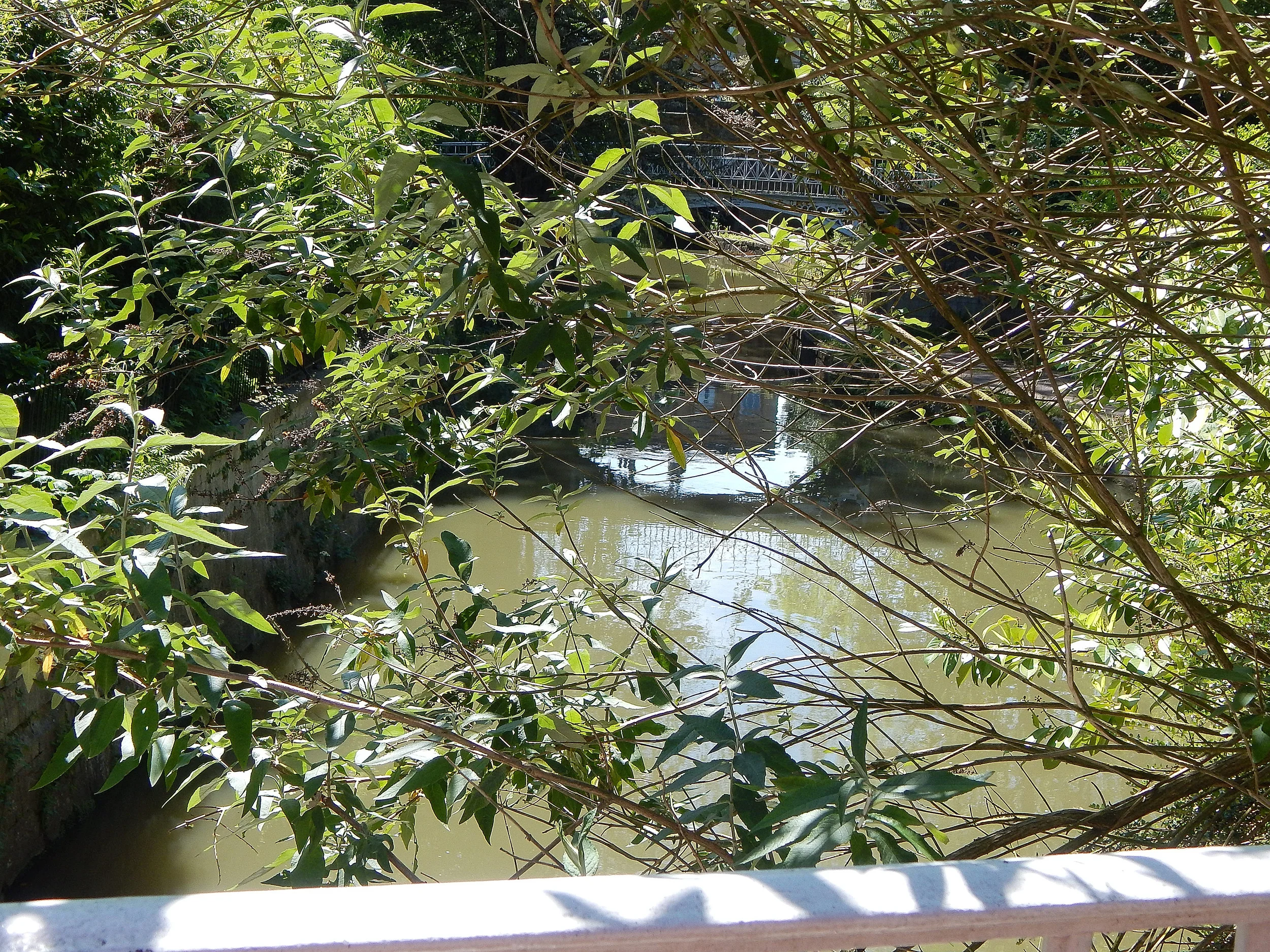 Sydney Gardens 3