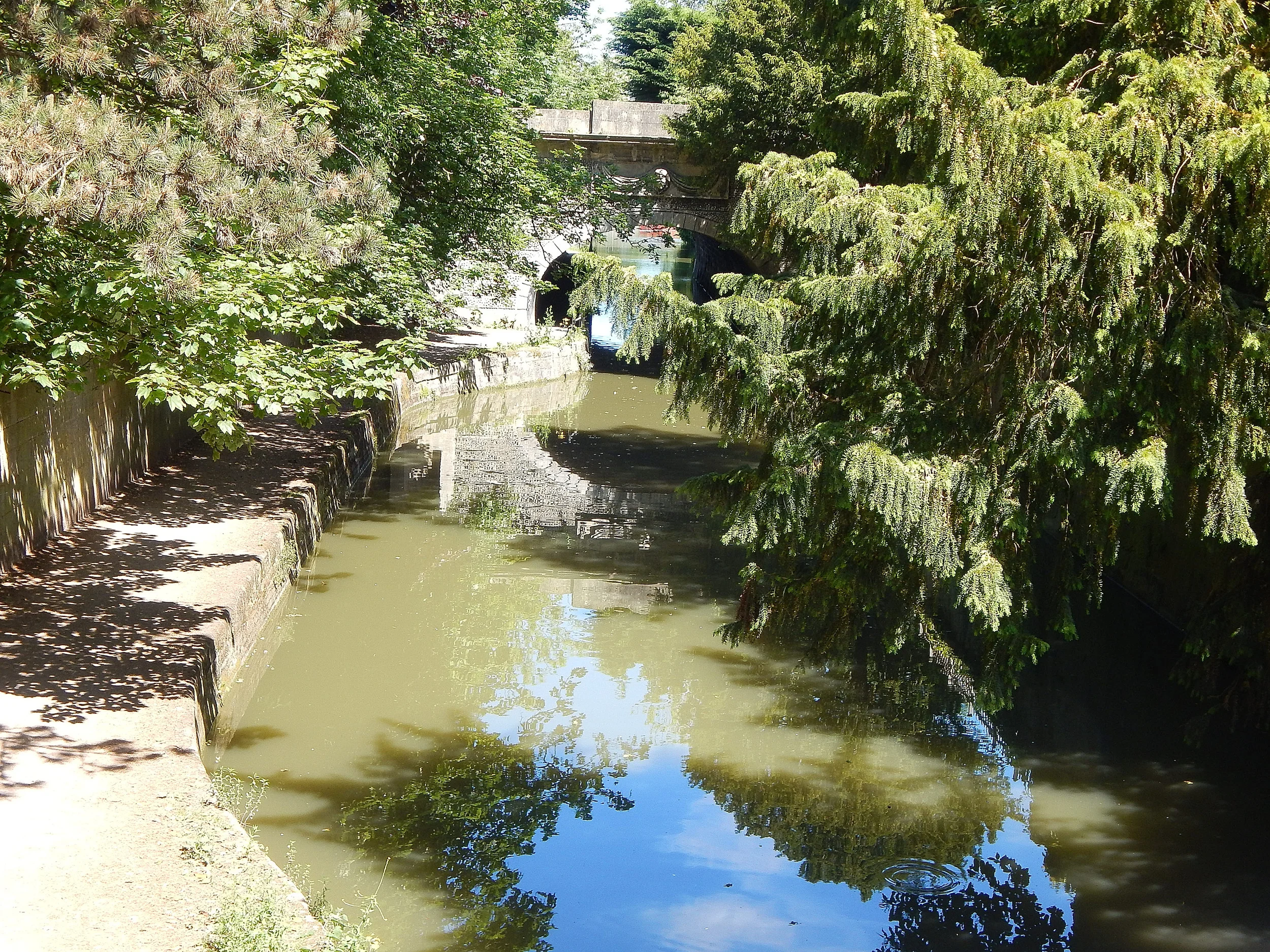 Sydney Gardens 4