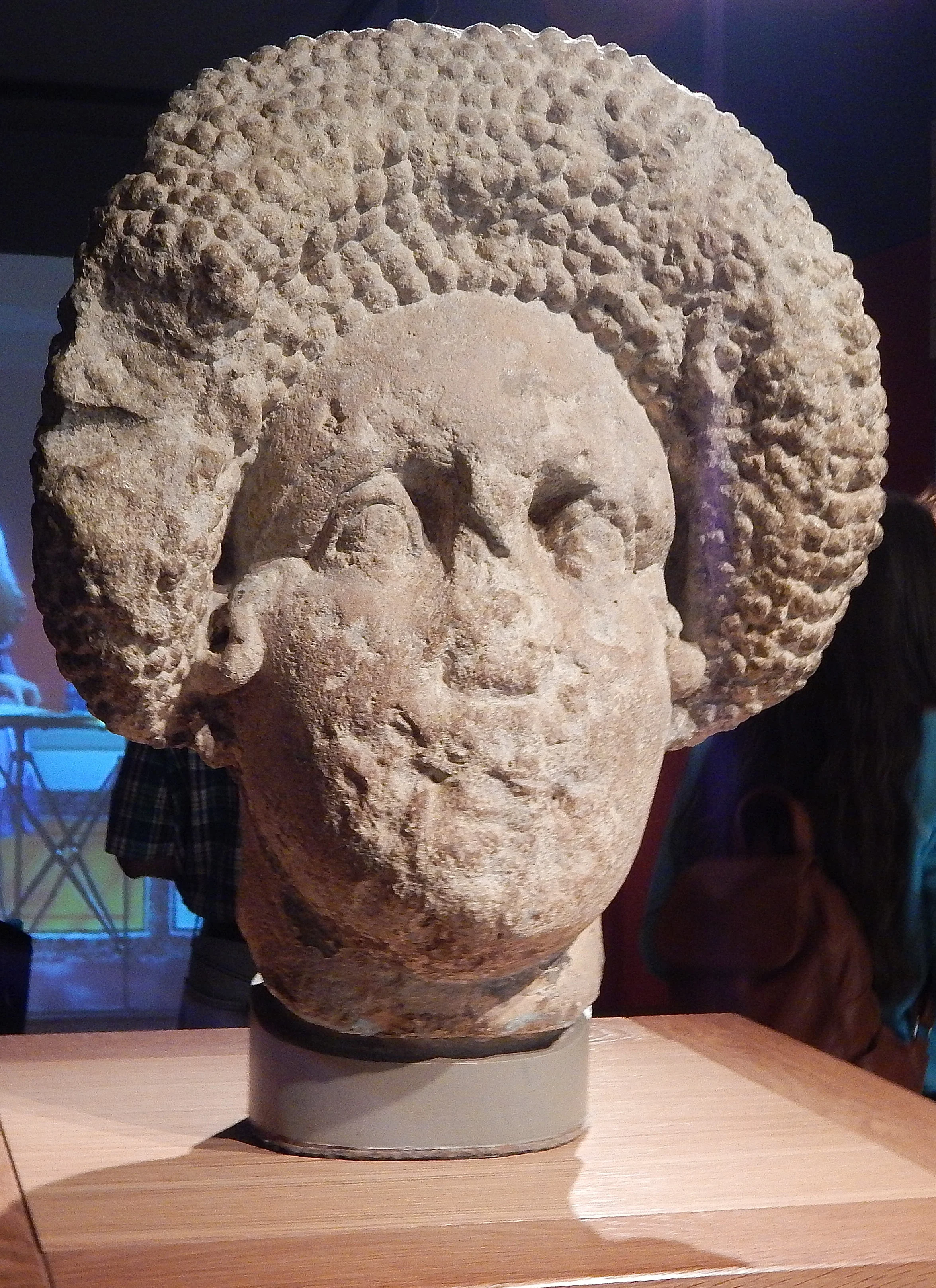 Lady's head