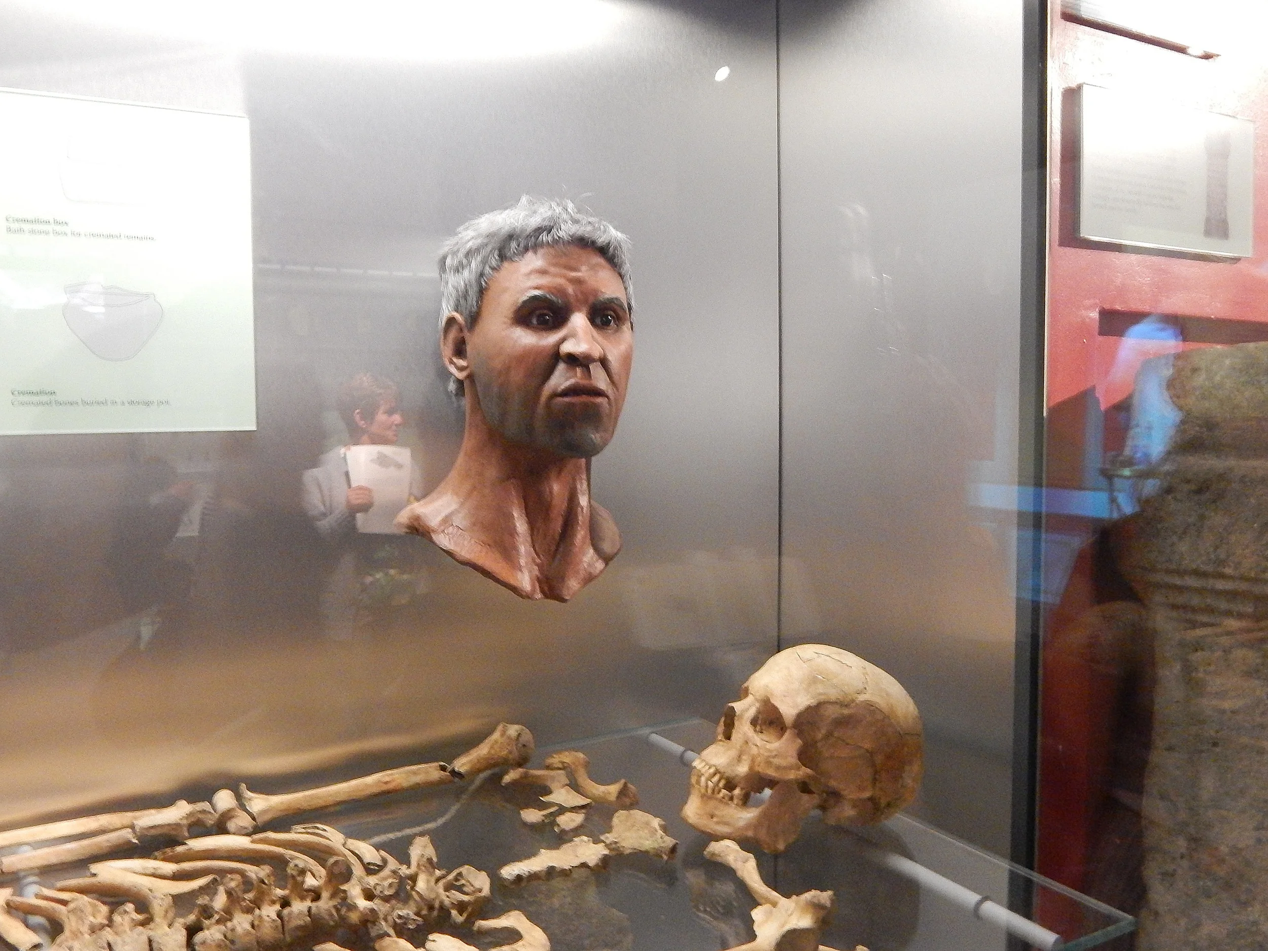 Skeleton and Reconstructed Head 3rd Century AD