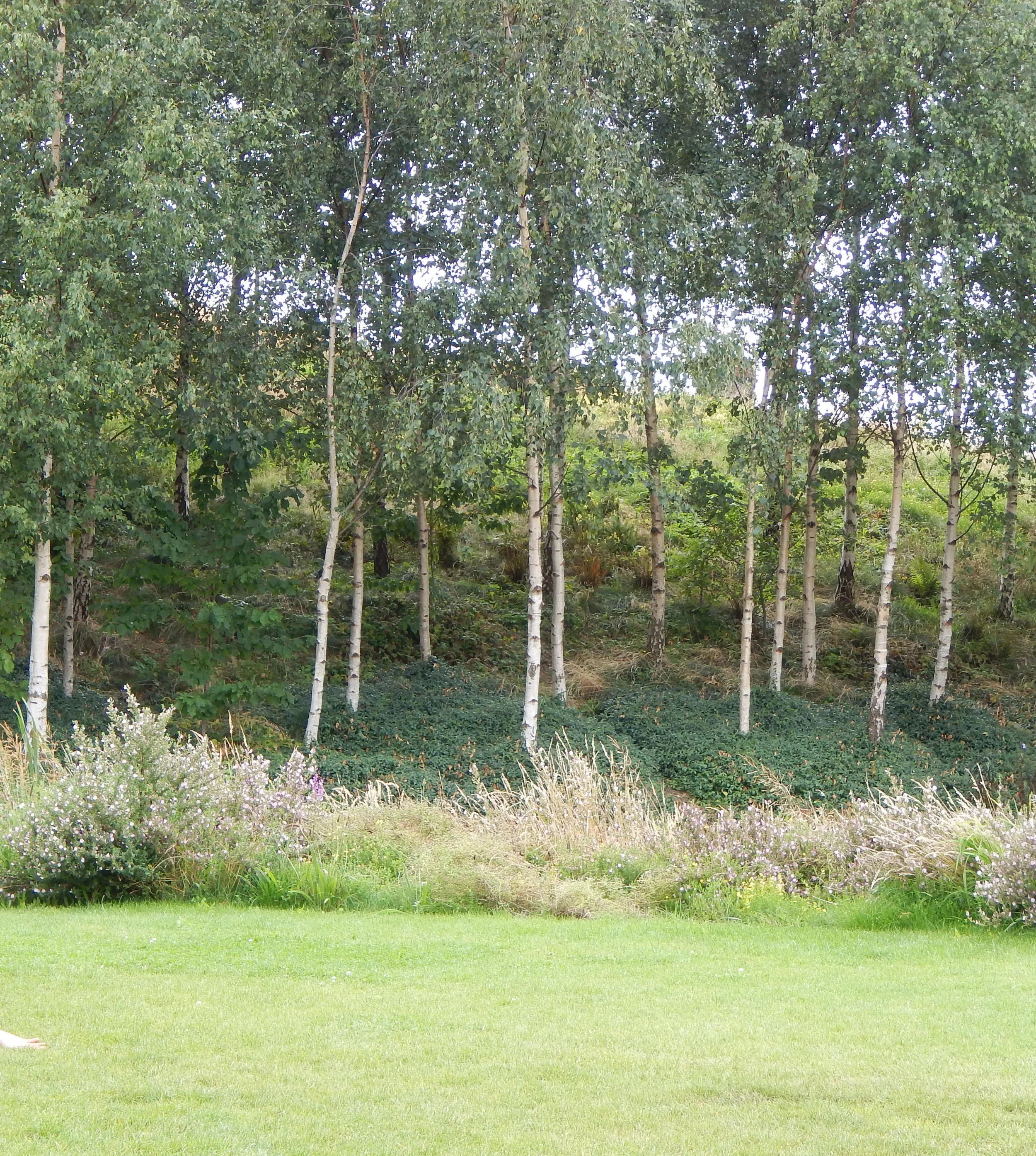 DSCN1455.JPG