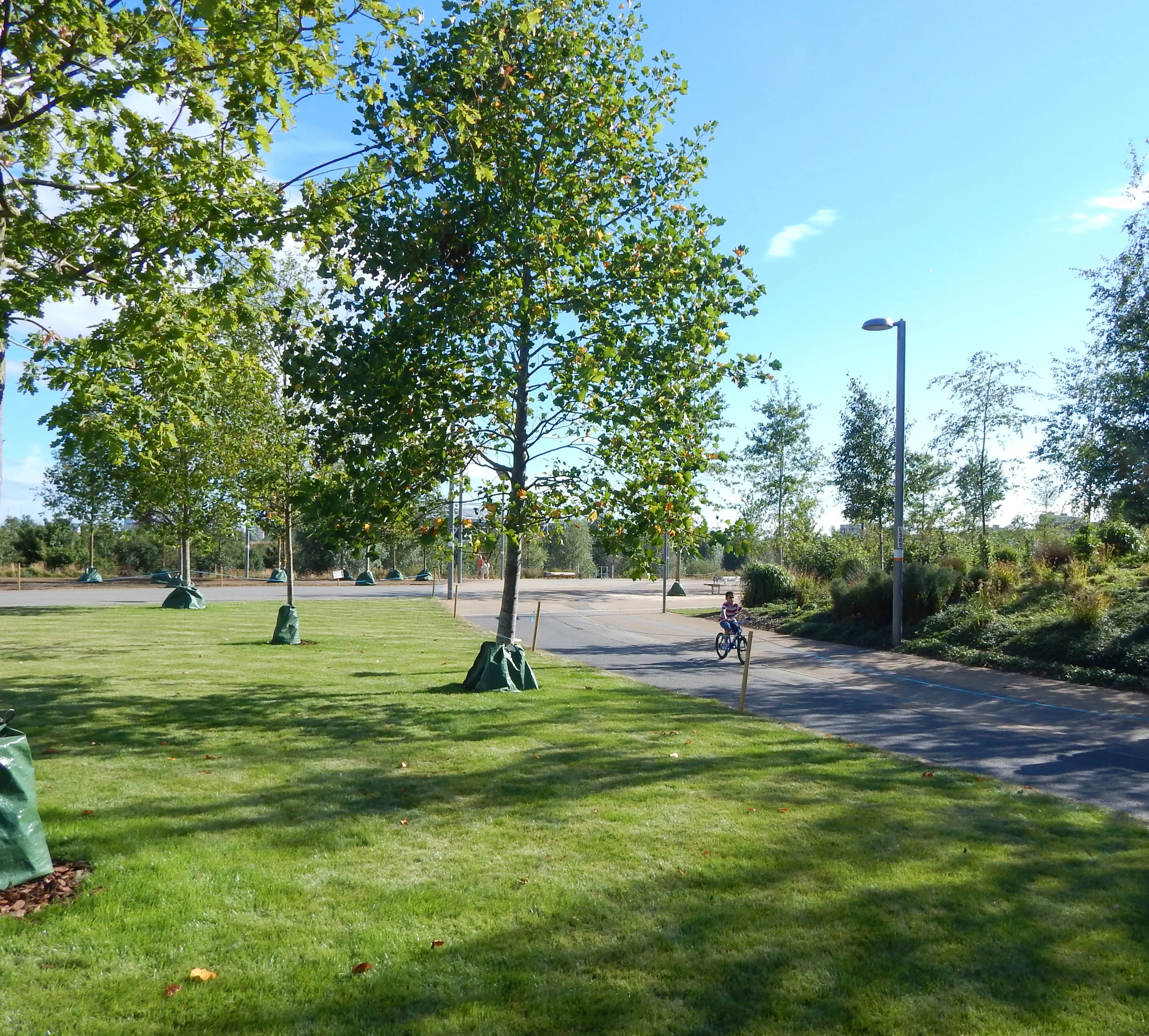 DSCN1465.JPG