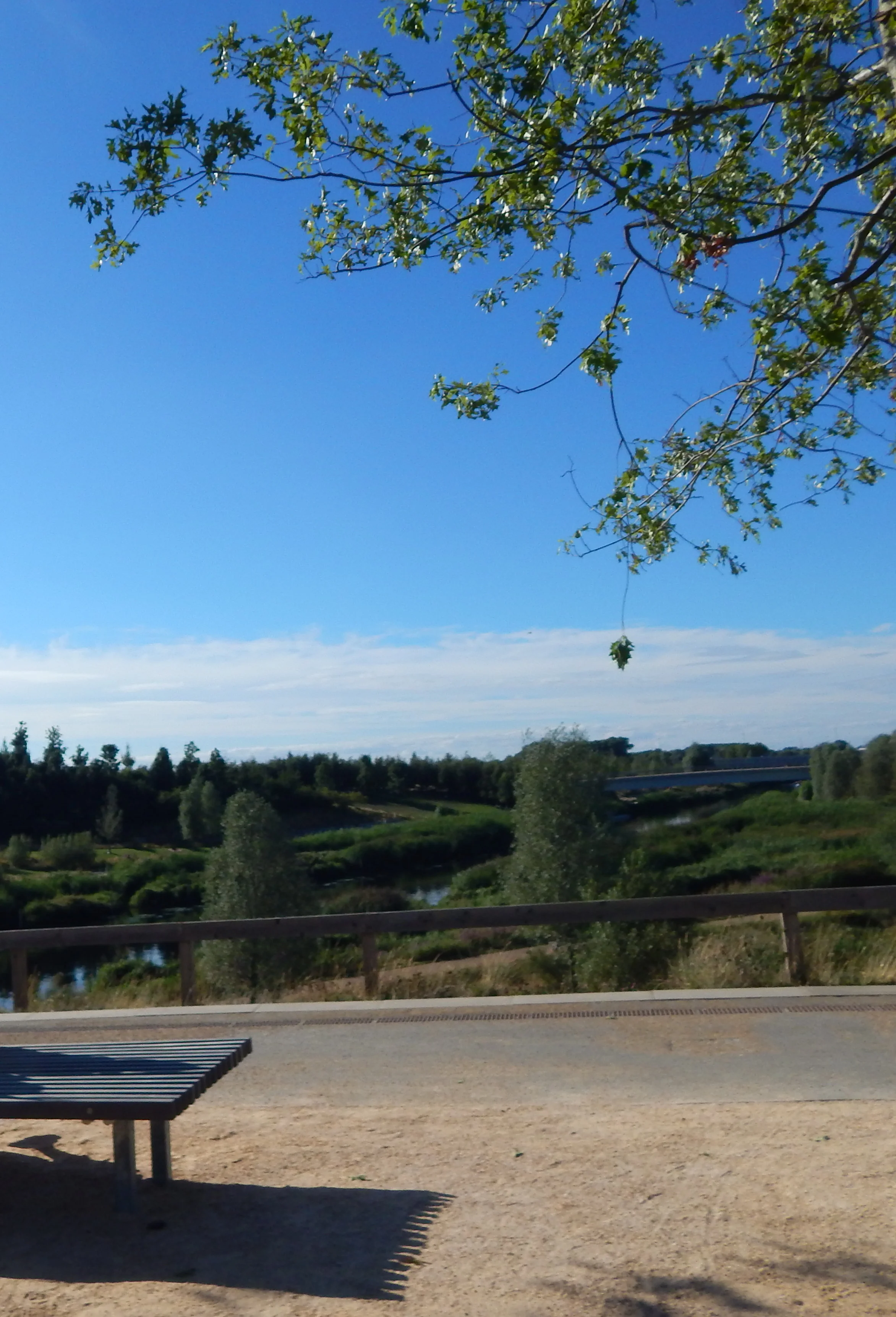 DSCN1476.JPG