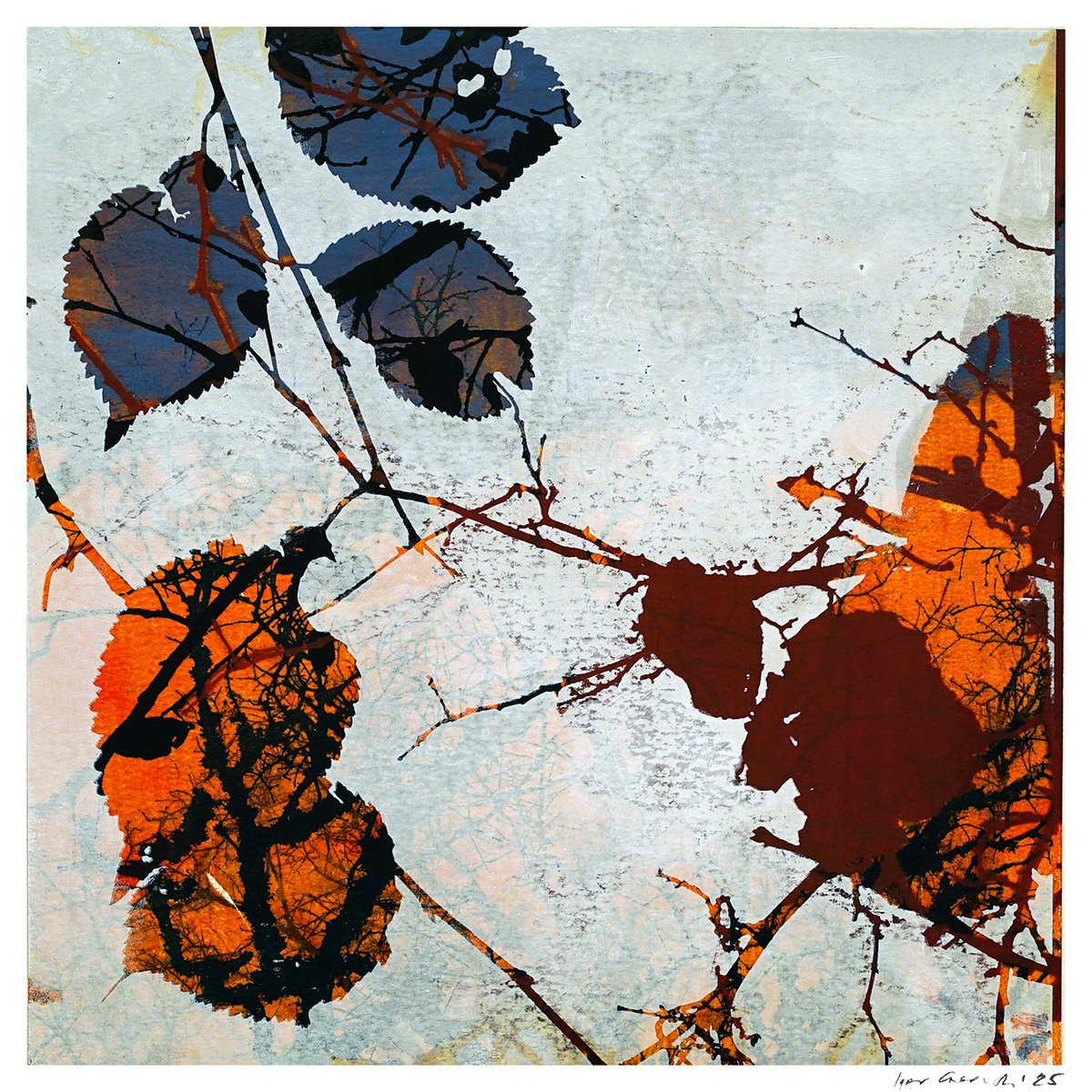 Tilden Series - Autumn 01