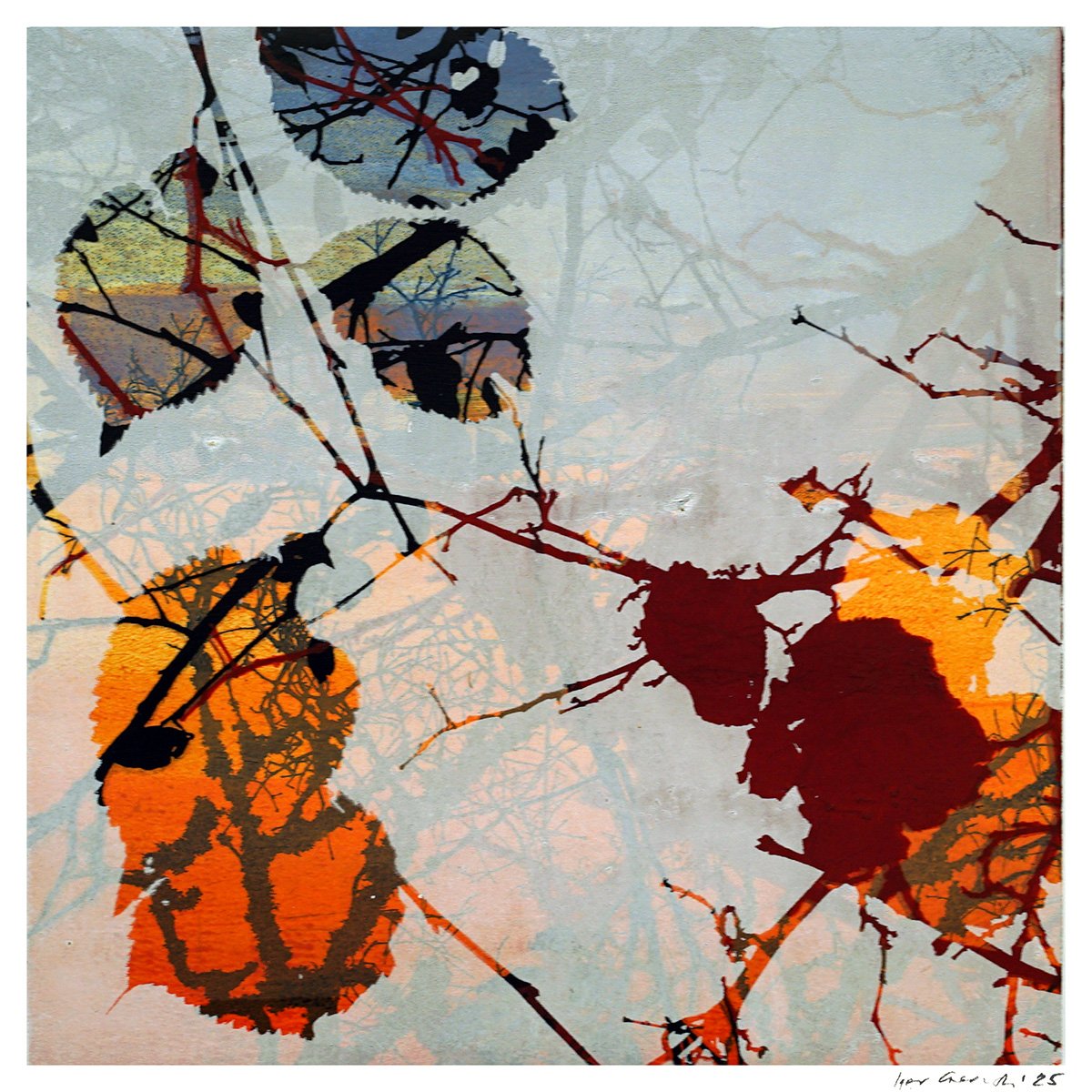 Tilden Series - Autumn 02