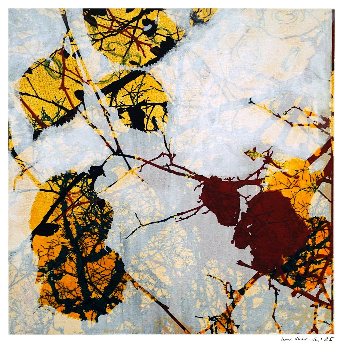 Tilden Series - Autumn 04