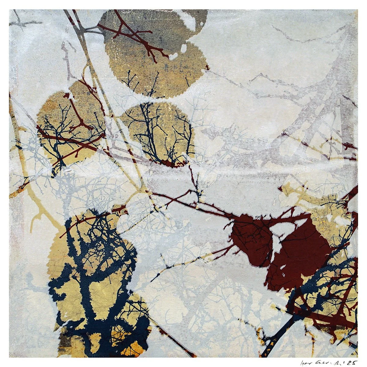 Tilden Series - Autumn 03