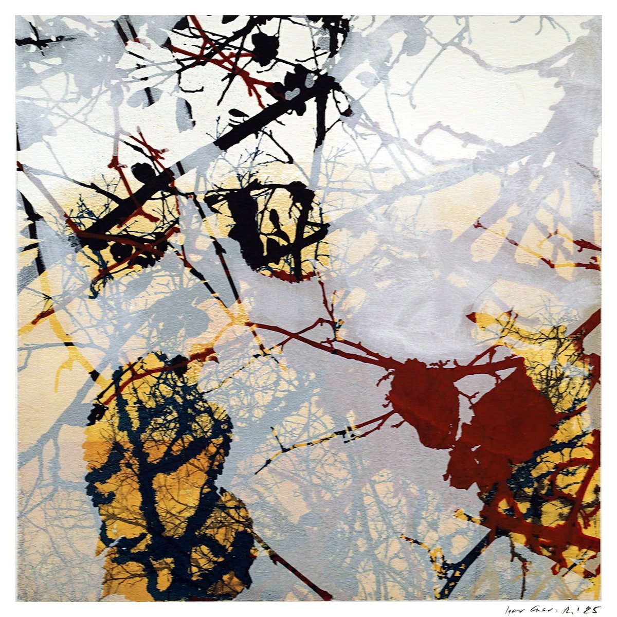 Tilden Series - Autumn 05