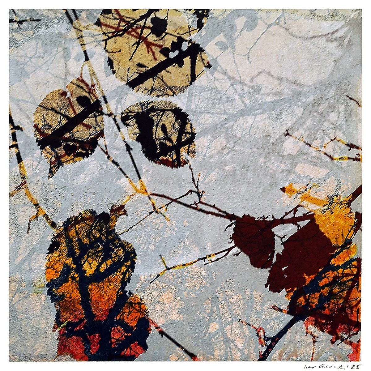 Tilden Series - Autumn 06