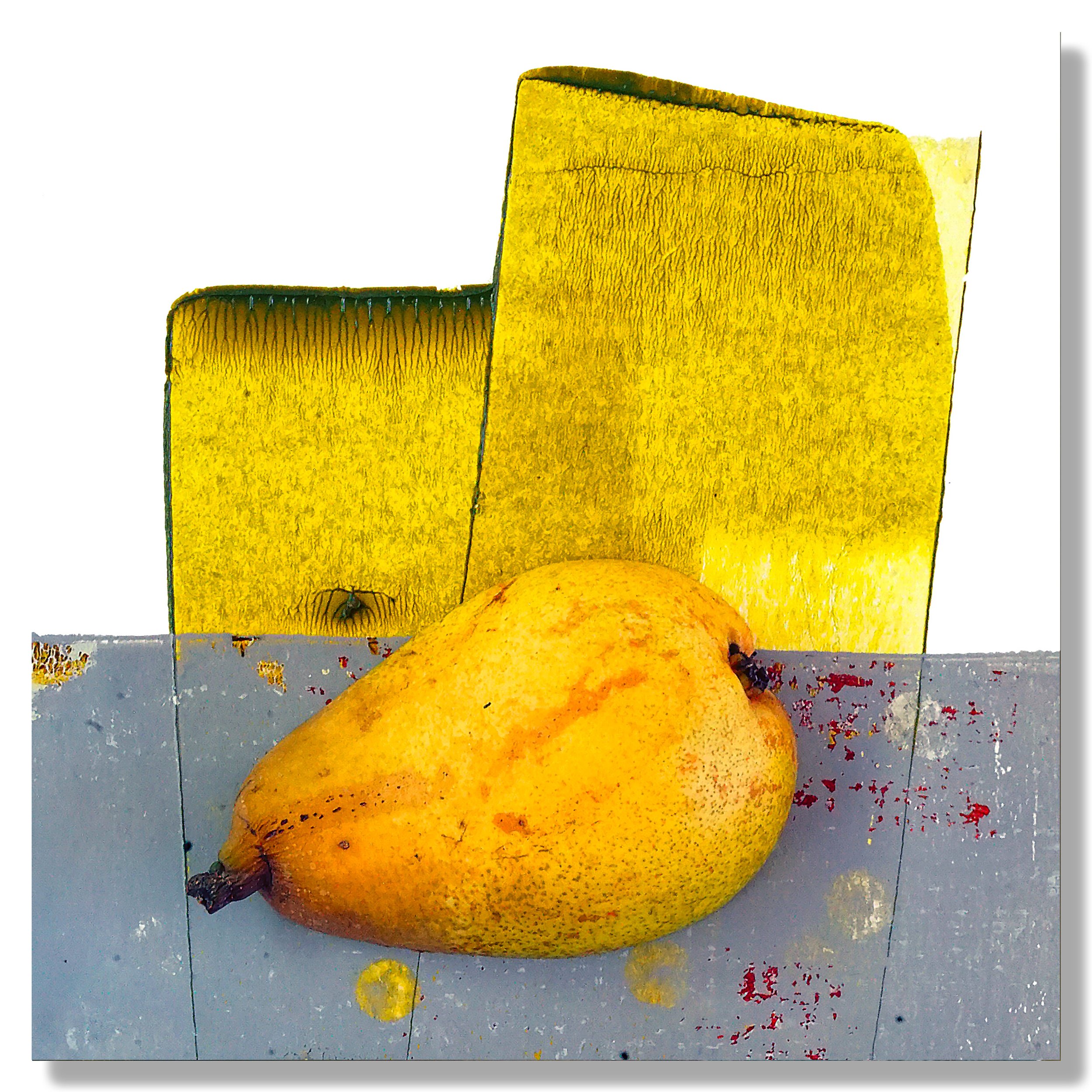  2025  Giclée print on archival paper  8” x 8”  