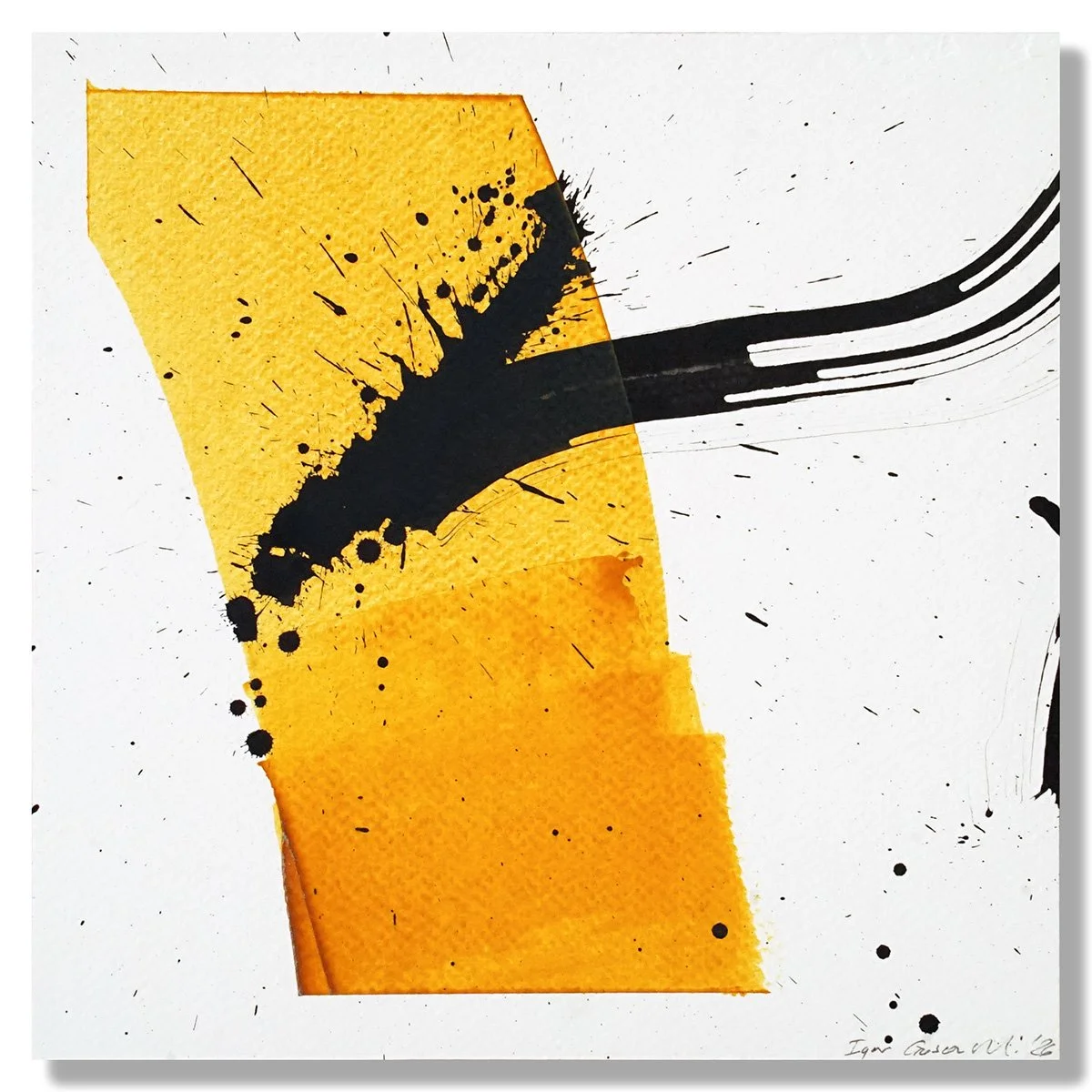 A Free Spirit Encounters Authority 