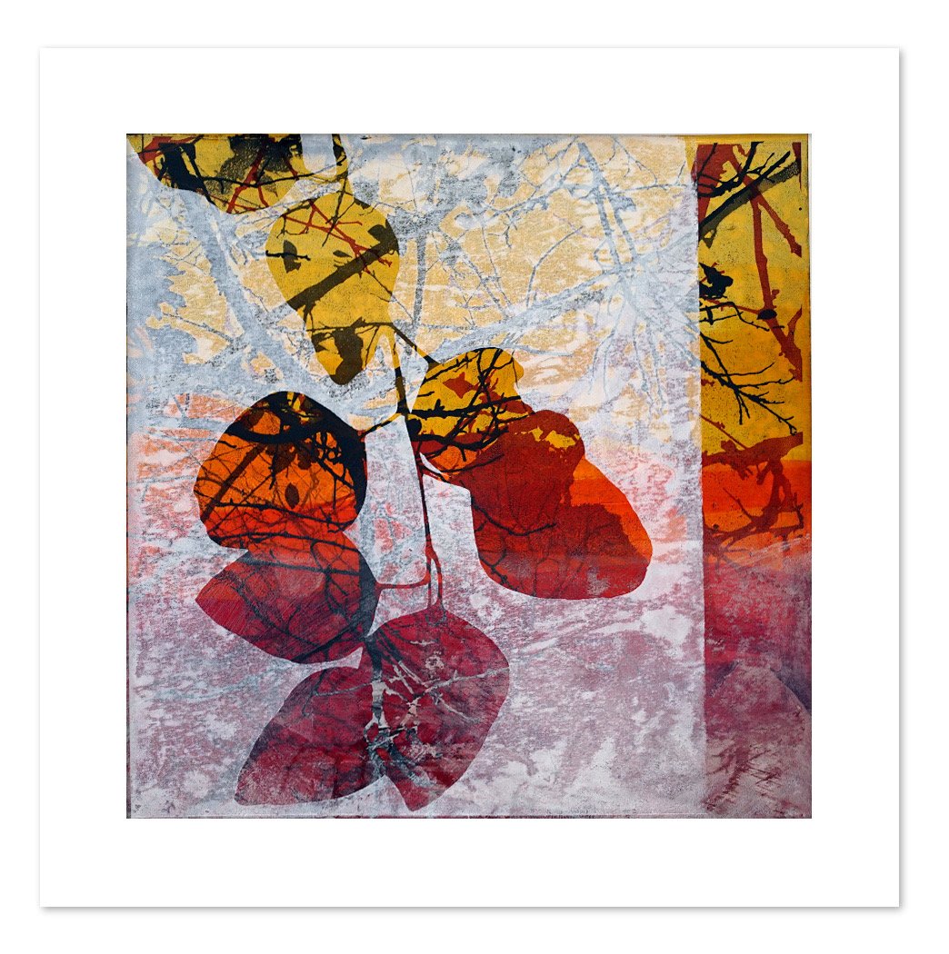 Tilden Series Autumn 2025 12 x 12 - 02.jpeg