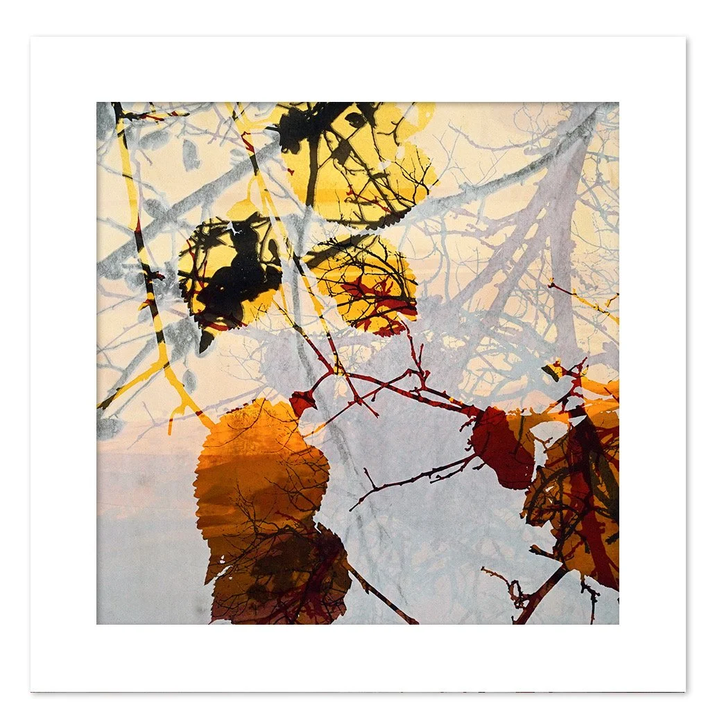 Tilden Series Autumn 2025 12 x 12 - 03.jpeg