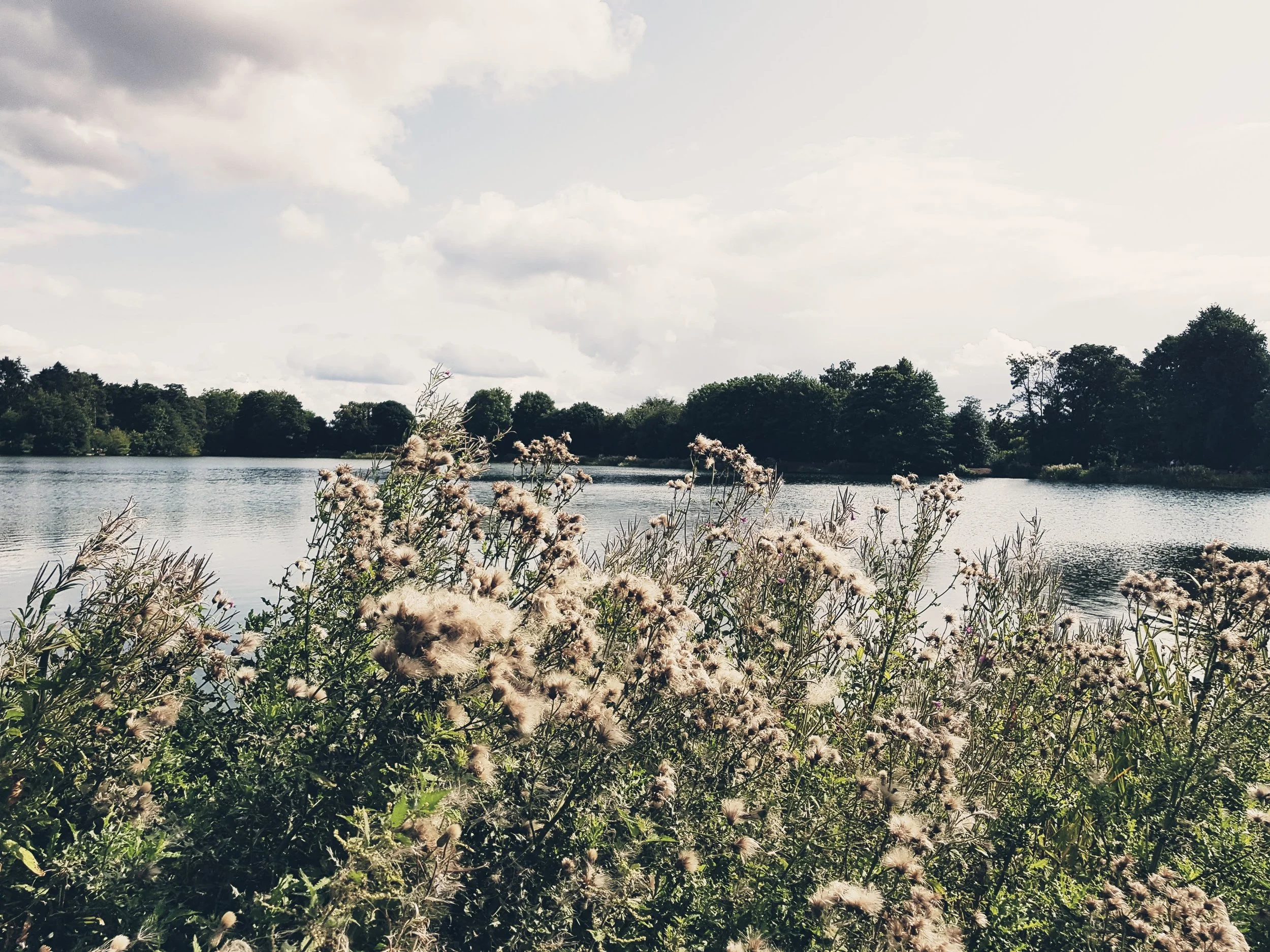 20180825_152314.jpg