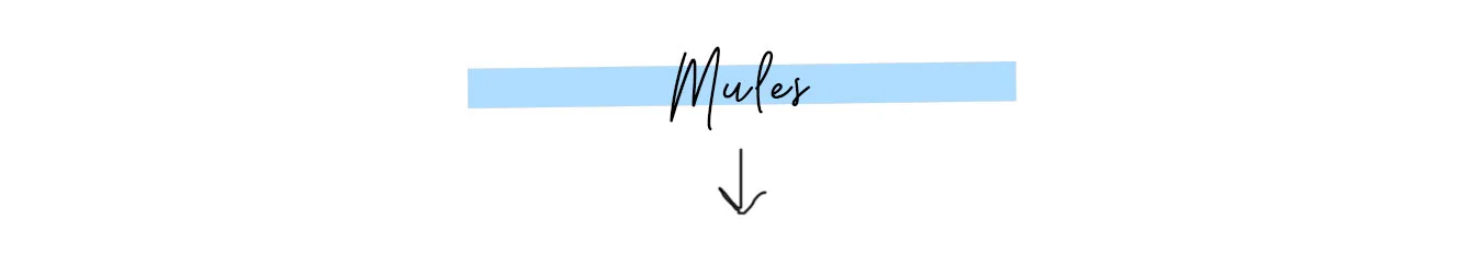 mules.jpg
