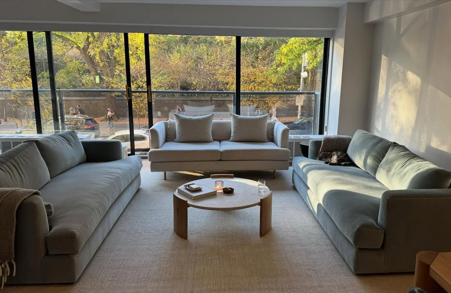 A moment for these matching soft blue velvet sofas 🥰 . Made even better by a lovely tree filled backdrop of Autumn in NYC 🍂🍁

I loved working with this client on this space! It feels grounded and lux at the same time. The white sofa ultimately mov
