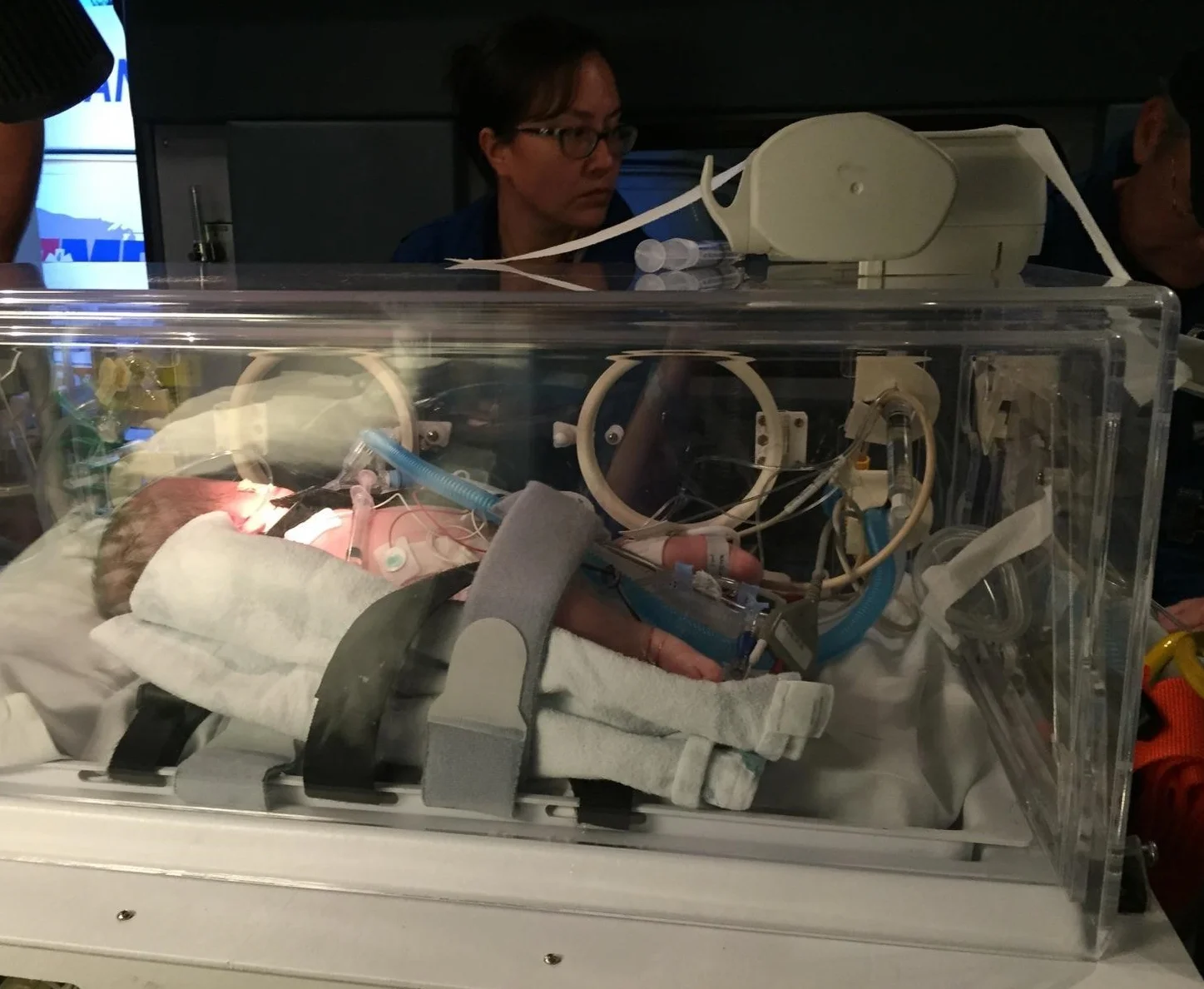 Getting Ready to Fly