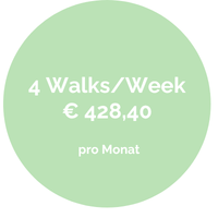 4 Walks.png