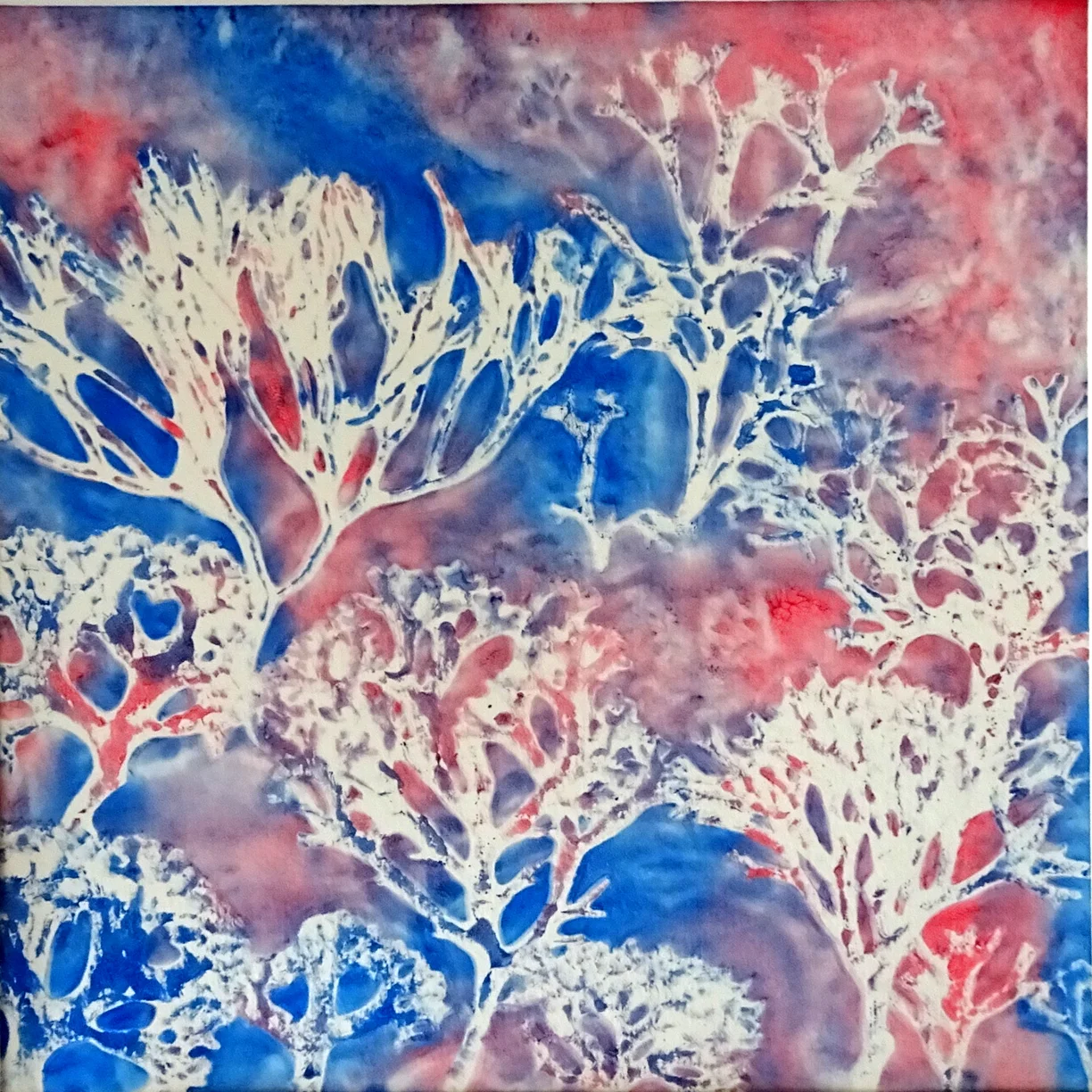 Coral Reef.jpg