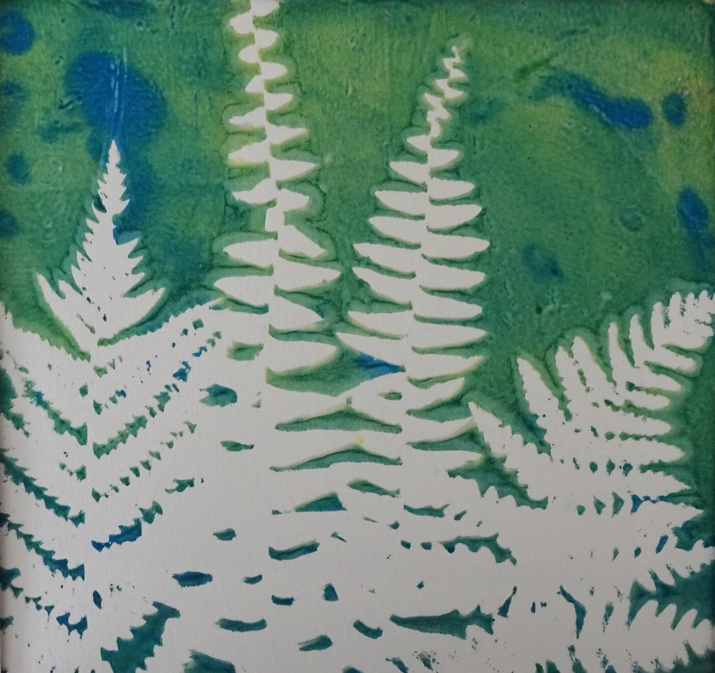 Green Fern Forrest 1