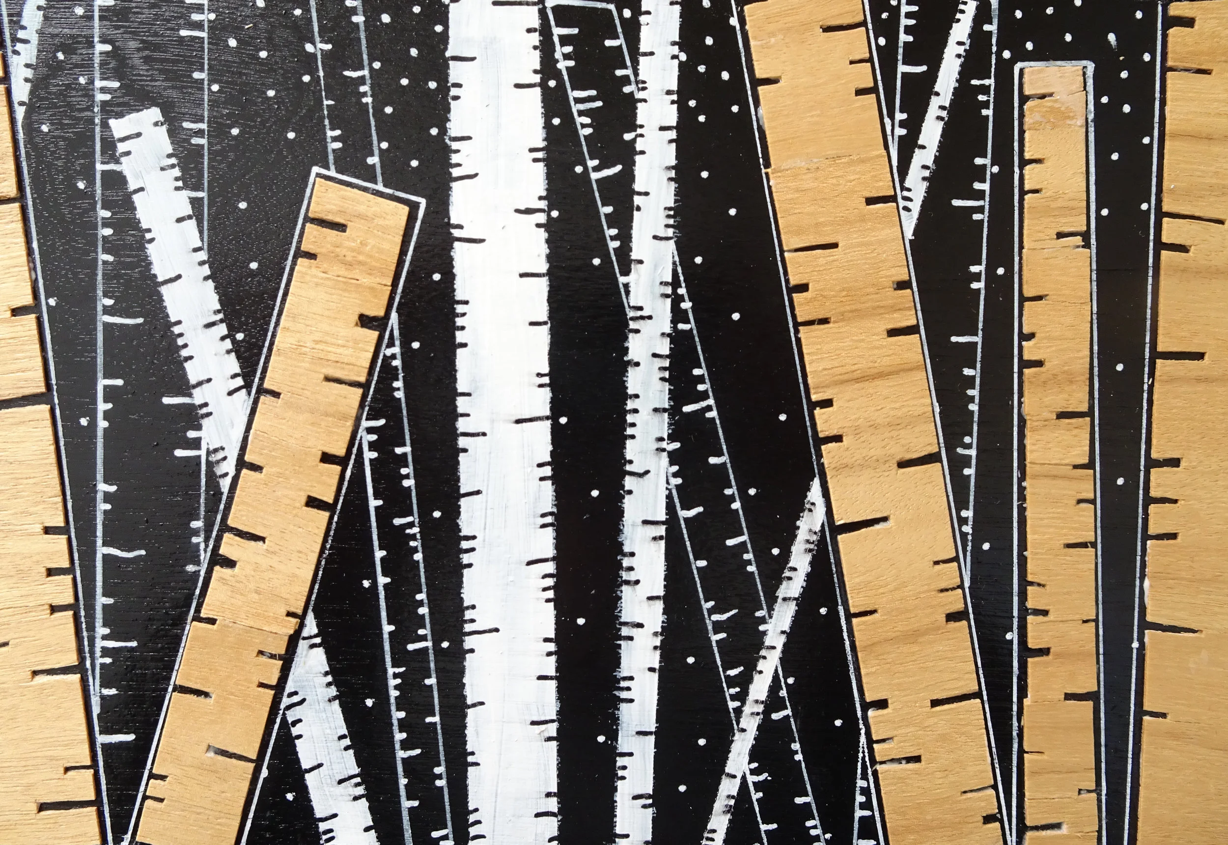 Birch Trees Large Closeup 1.jpg