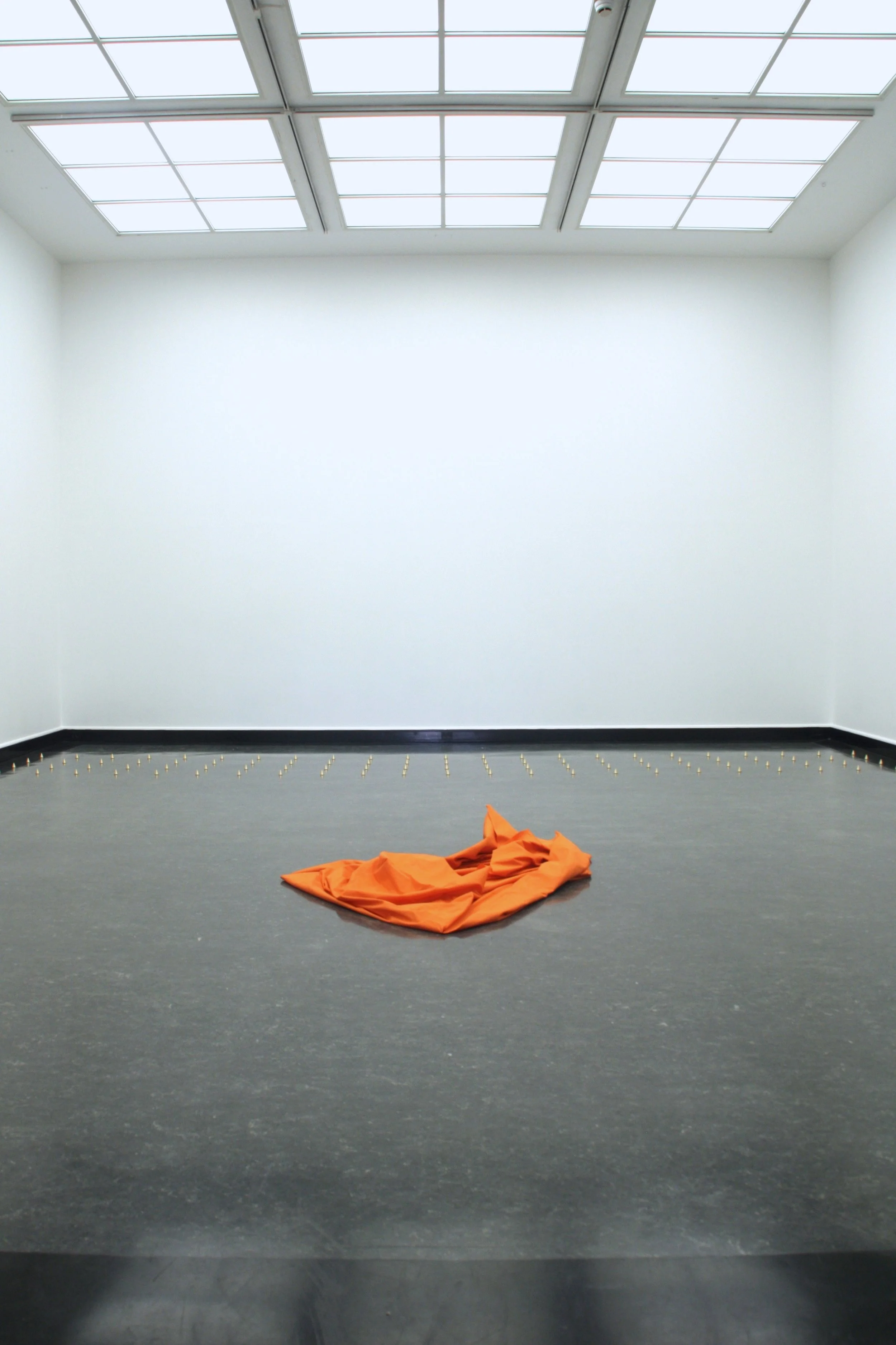 Variations 6x3_ 2015_Performativepainting_2.8x2.8M_4jpg.jpg