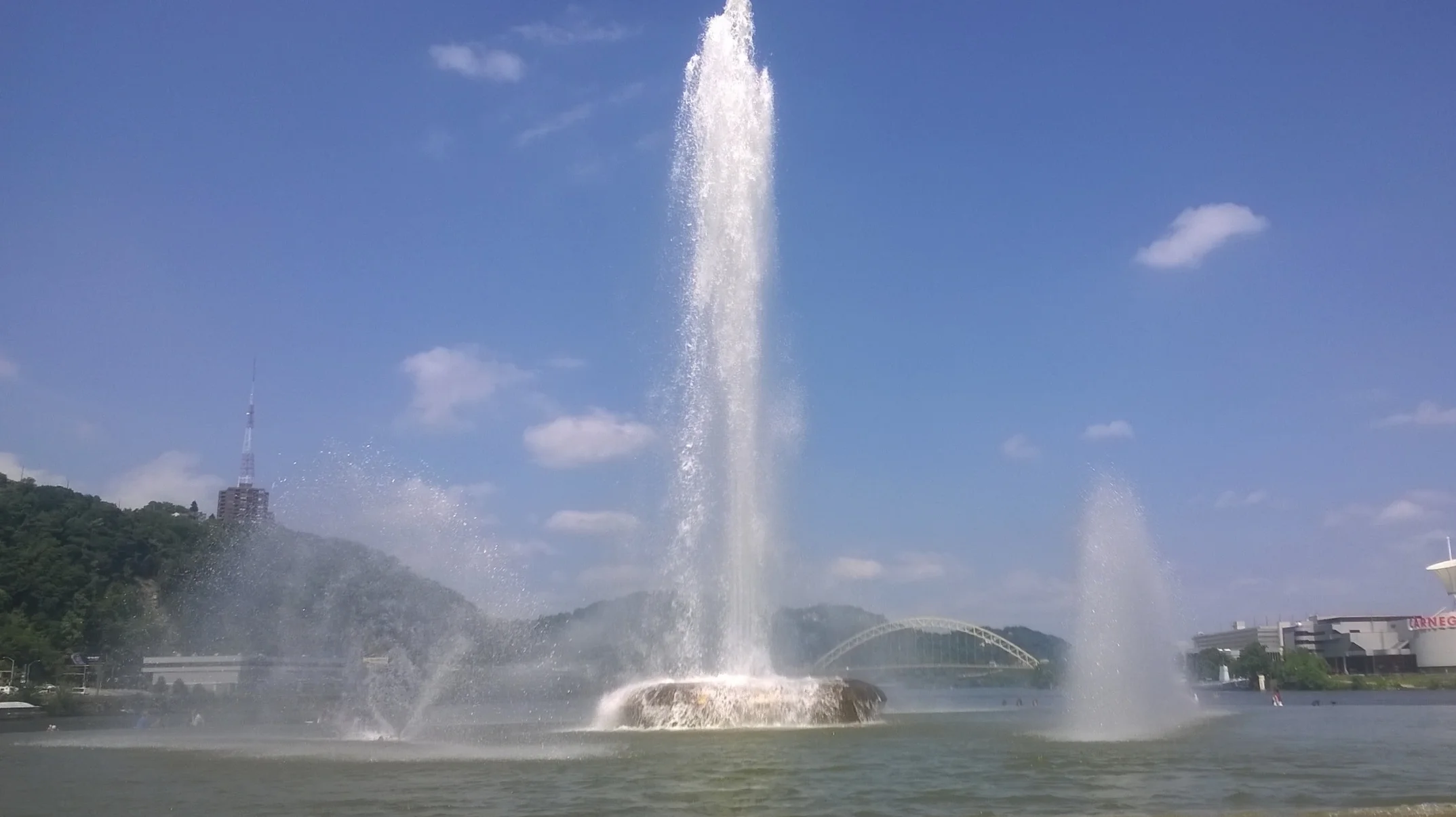 WP_20150607_005.jpg
