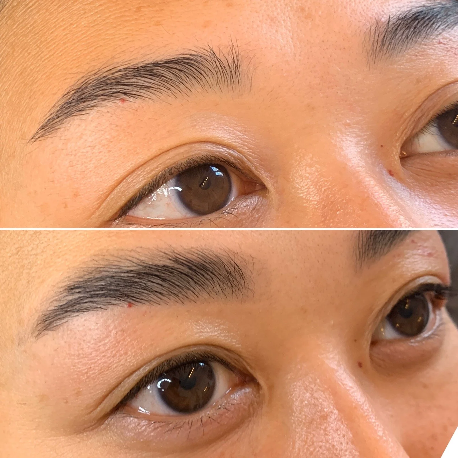 Lamination Brows — The Loft SWS