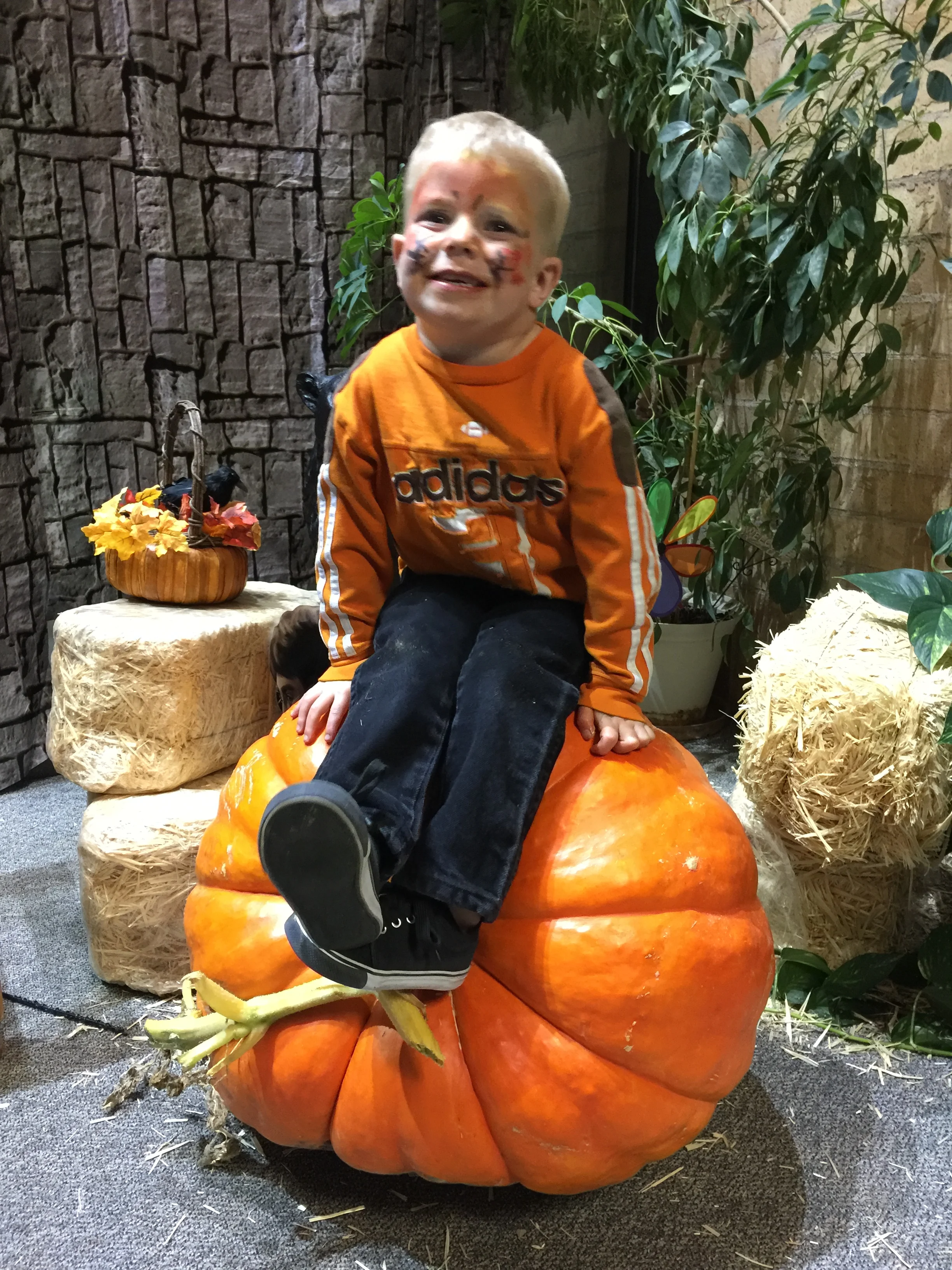 Pumpkins 2015-10-23 166.JPG
