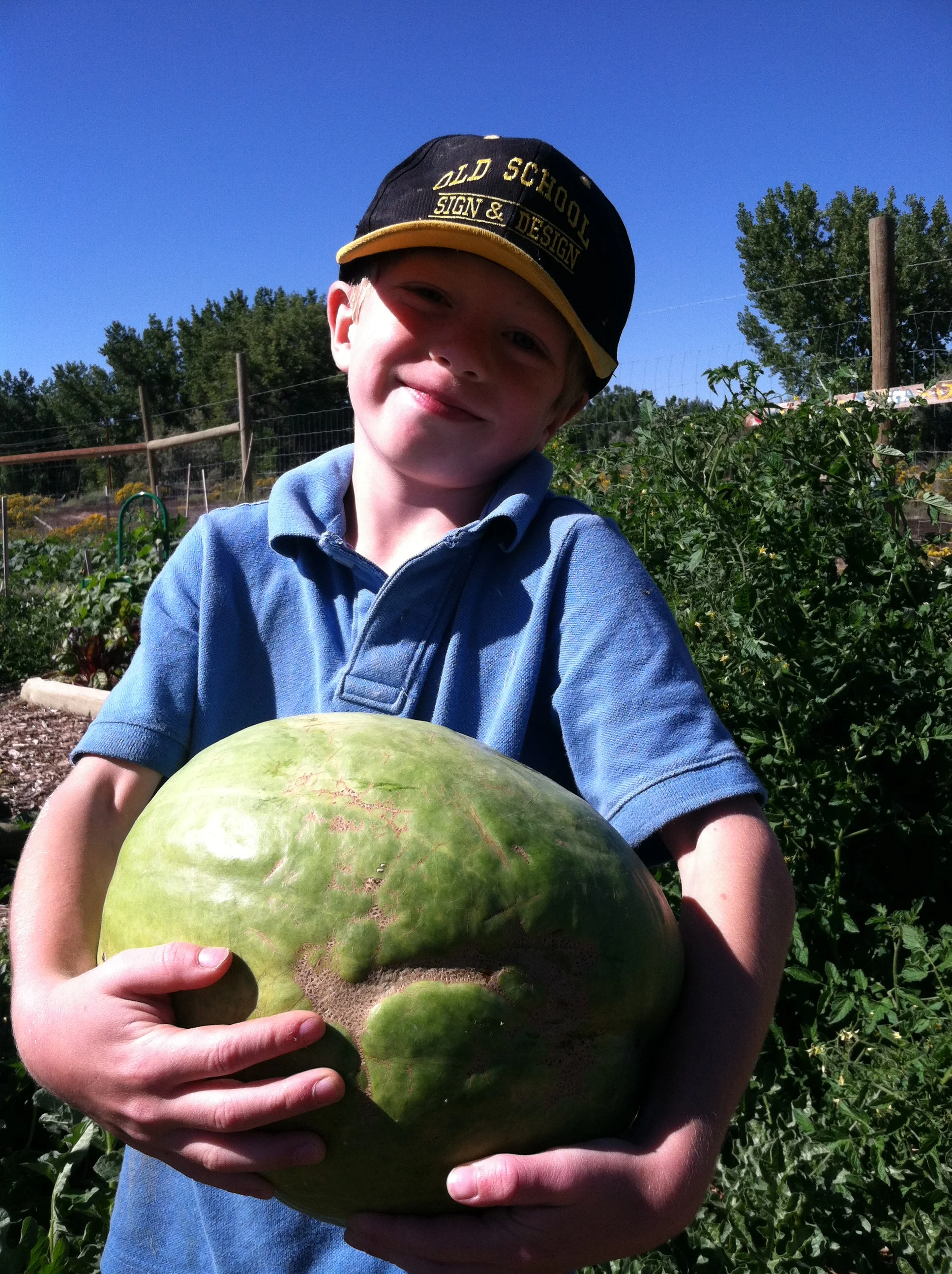 Garden 2014-09-12 008.JPG