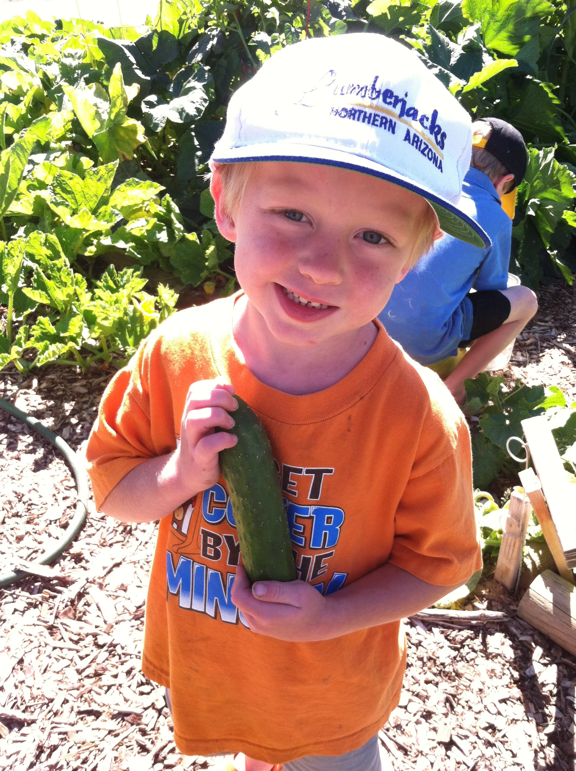 Garden 2014-09-12 010.JPG