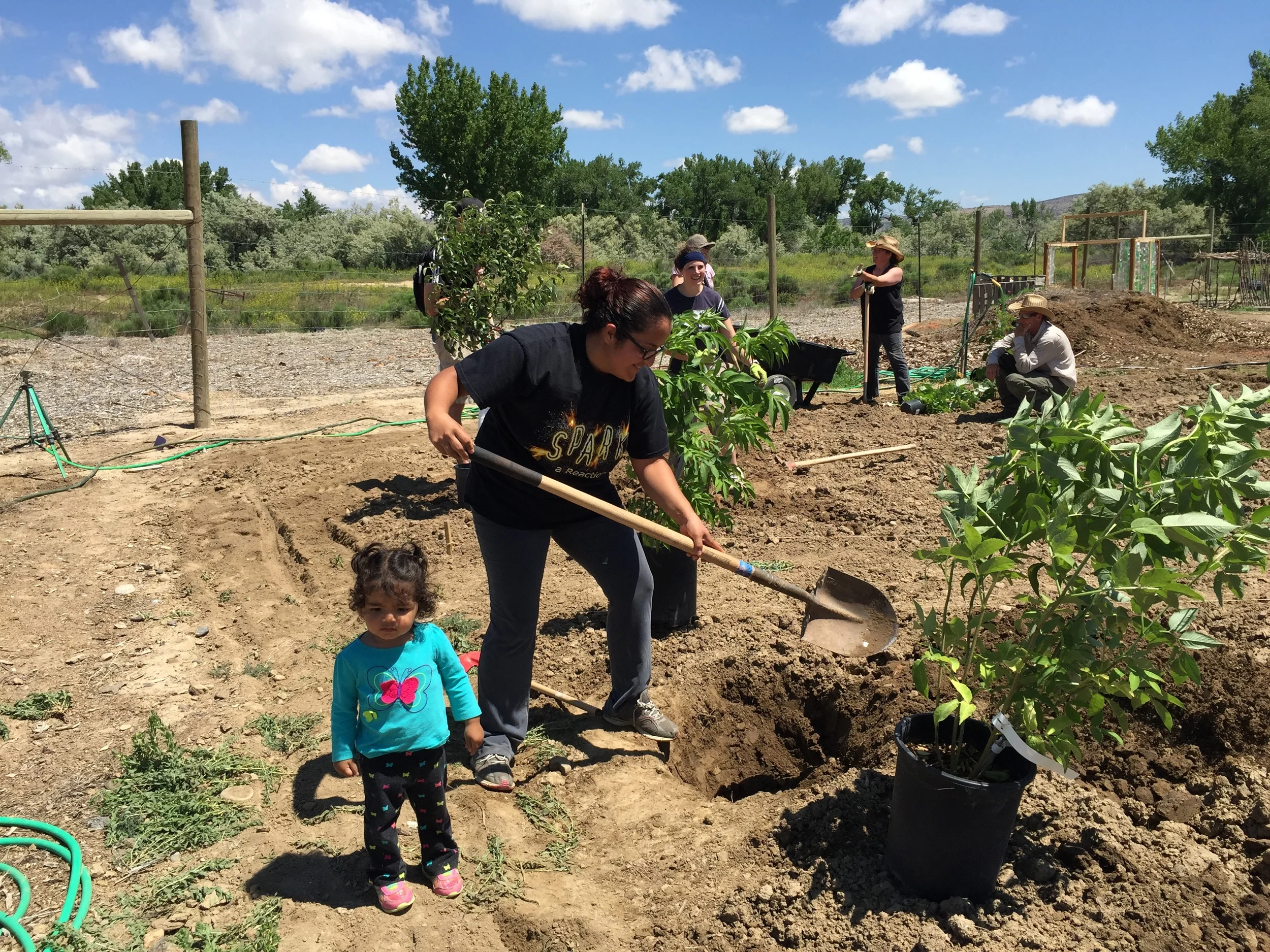Garden 2015-06-12 068.JPG